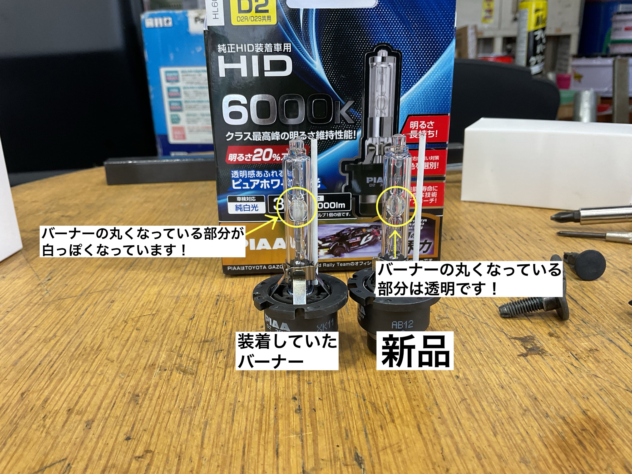 スタッフが撮影
