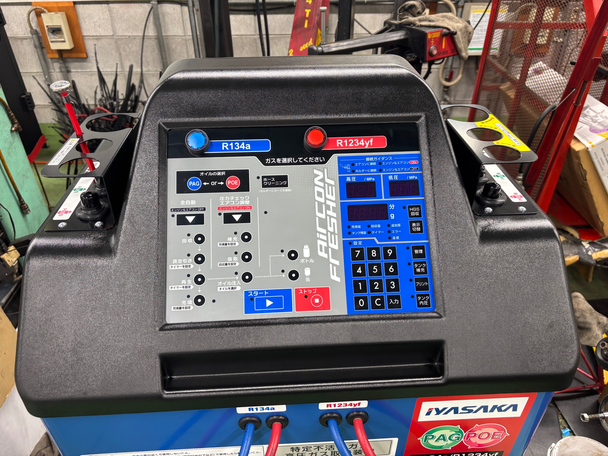 スタッフ撮影画像です。