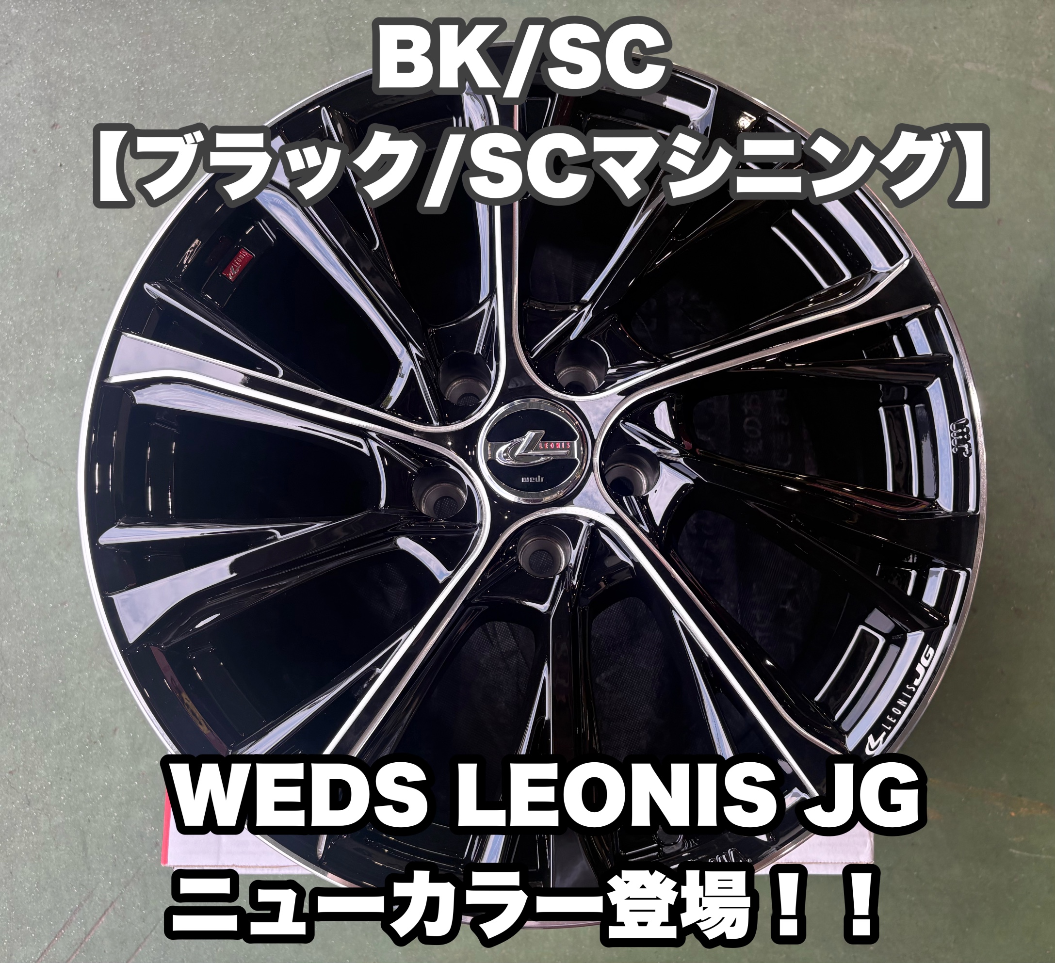 LEONIS(レオニス)JG】ニューカラー登場！！！【BK/SC ブラック