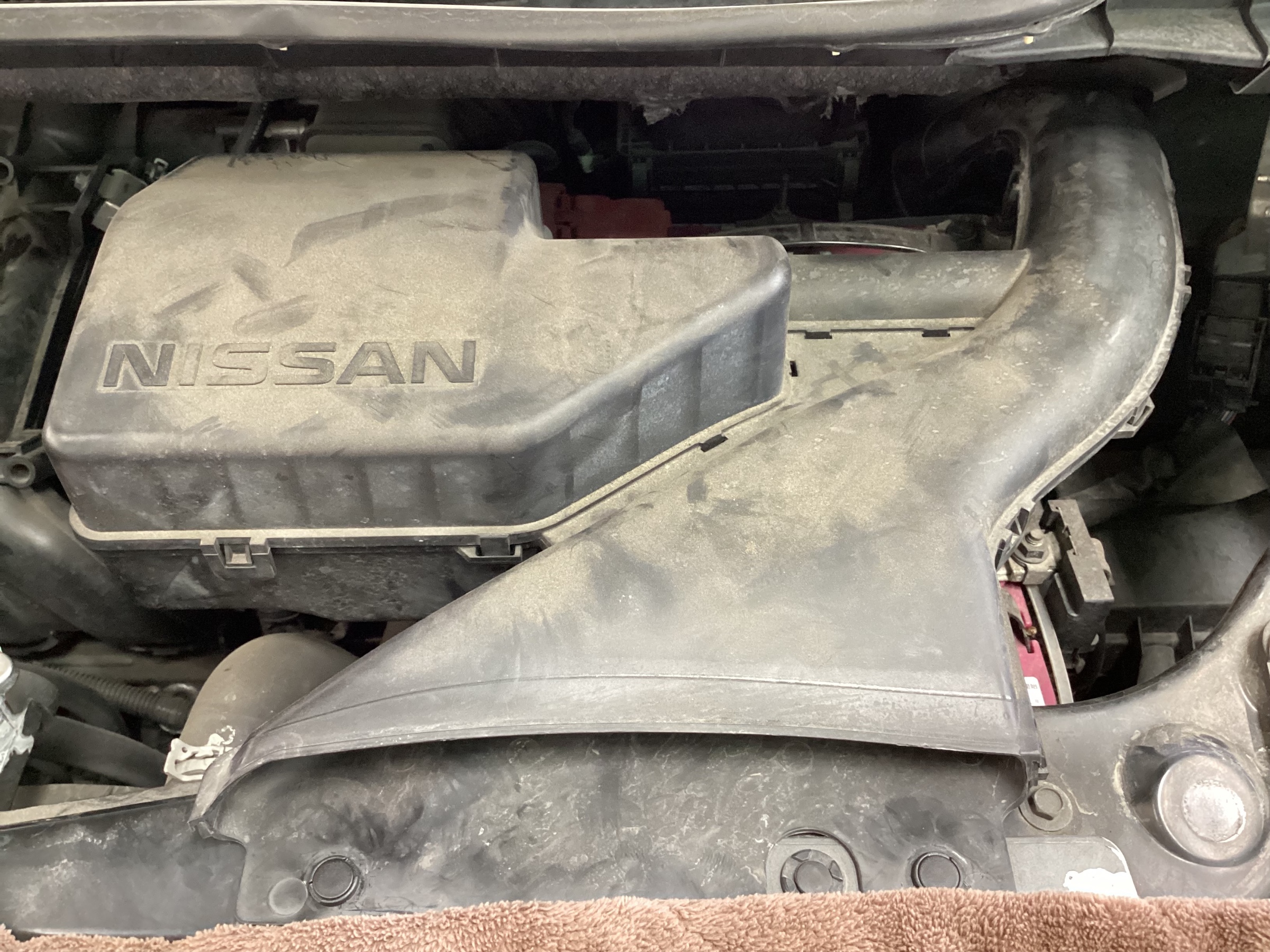 スタッフ撮影分