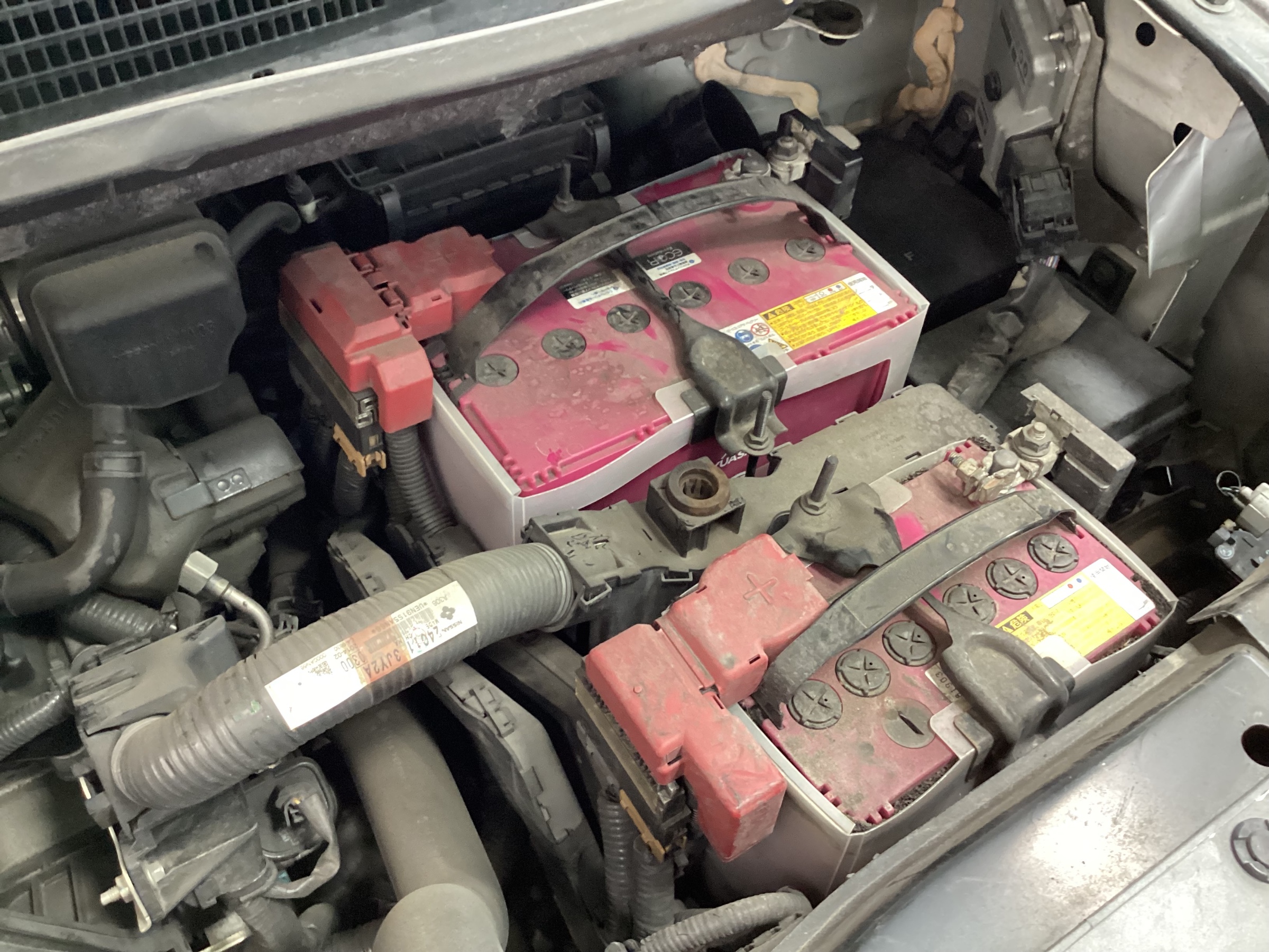 スタッフ撮影分