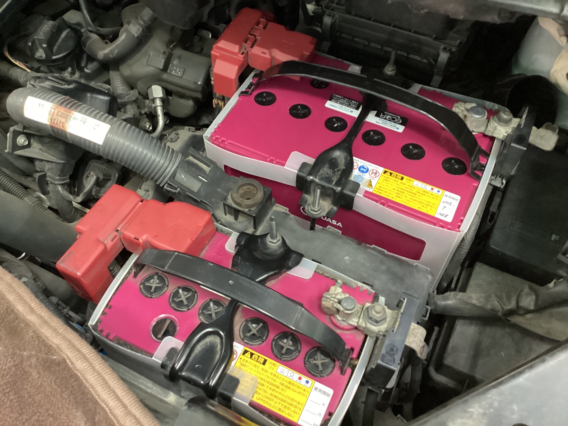 スタッフ撮影分