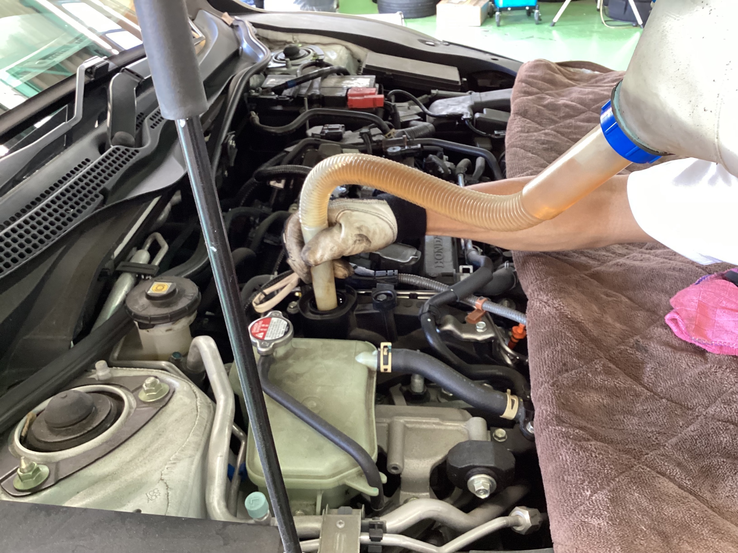 スタッフ撮影分