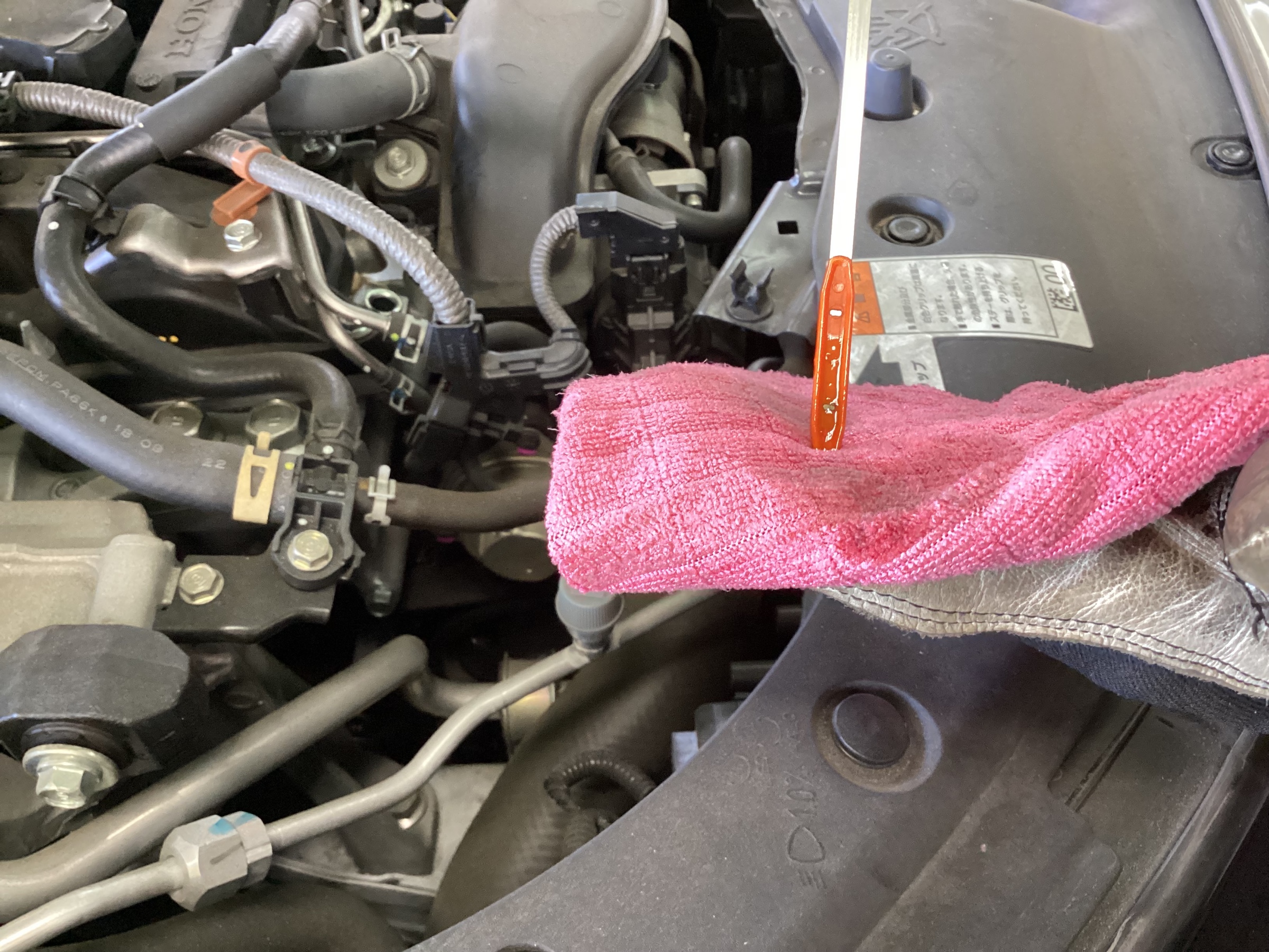 スタッフ撮影分