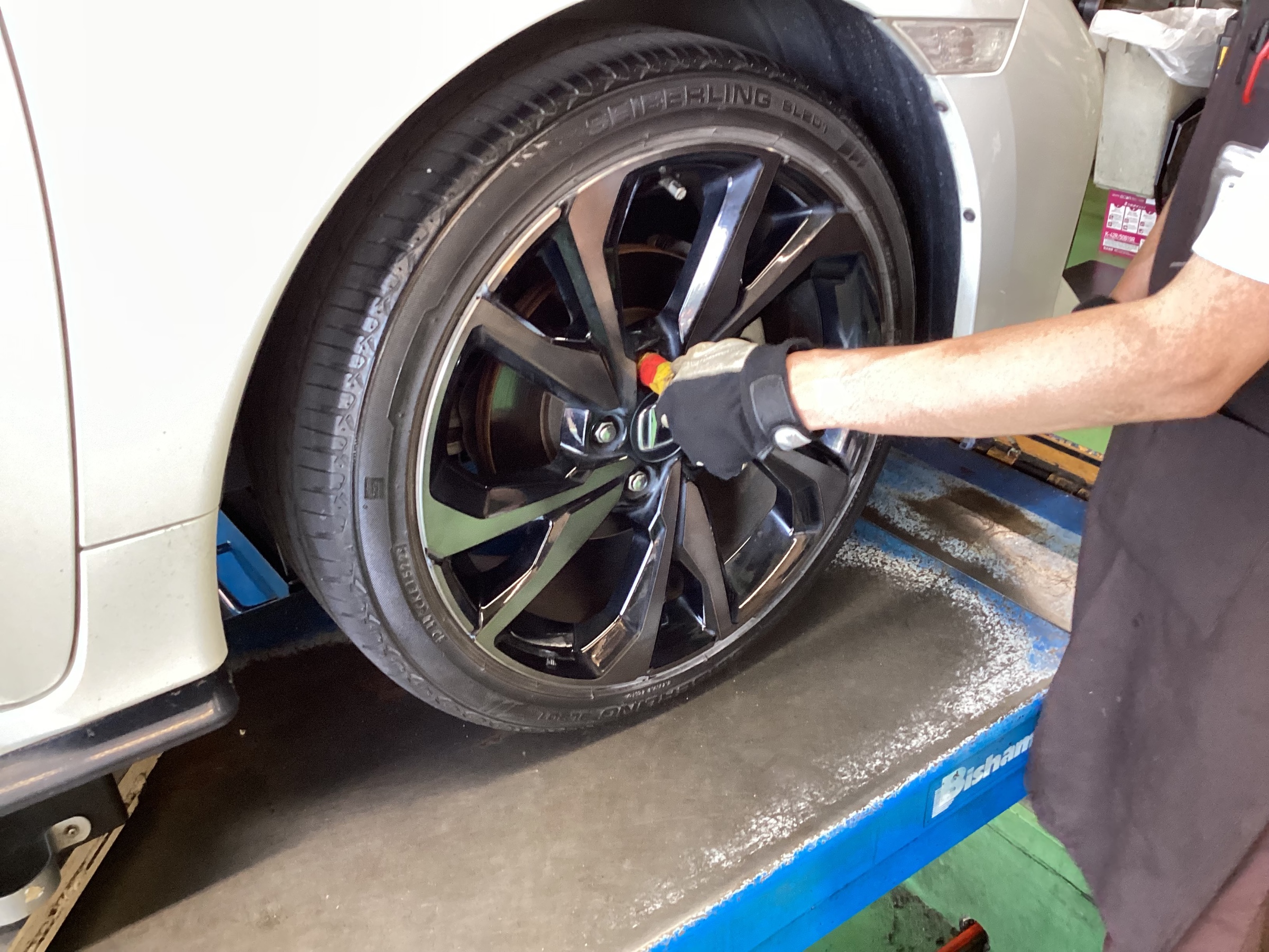 スタッフ撮影分