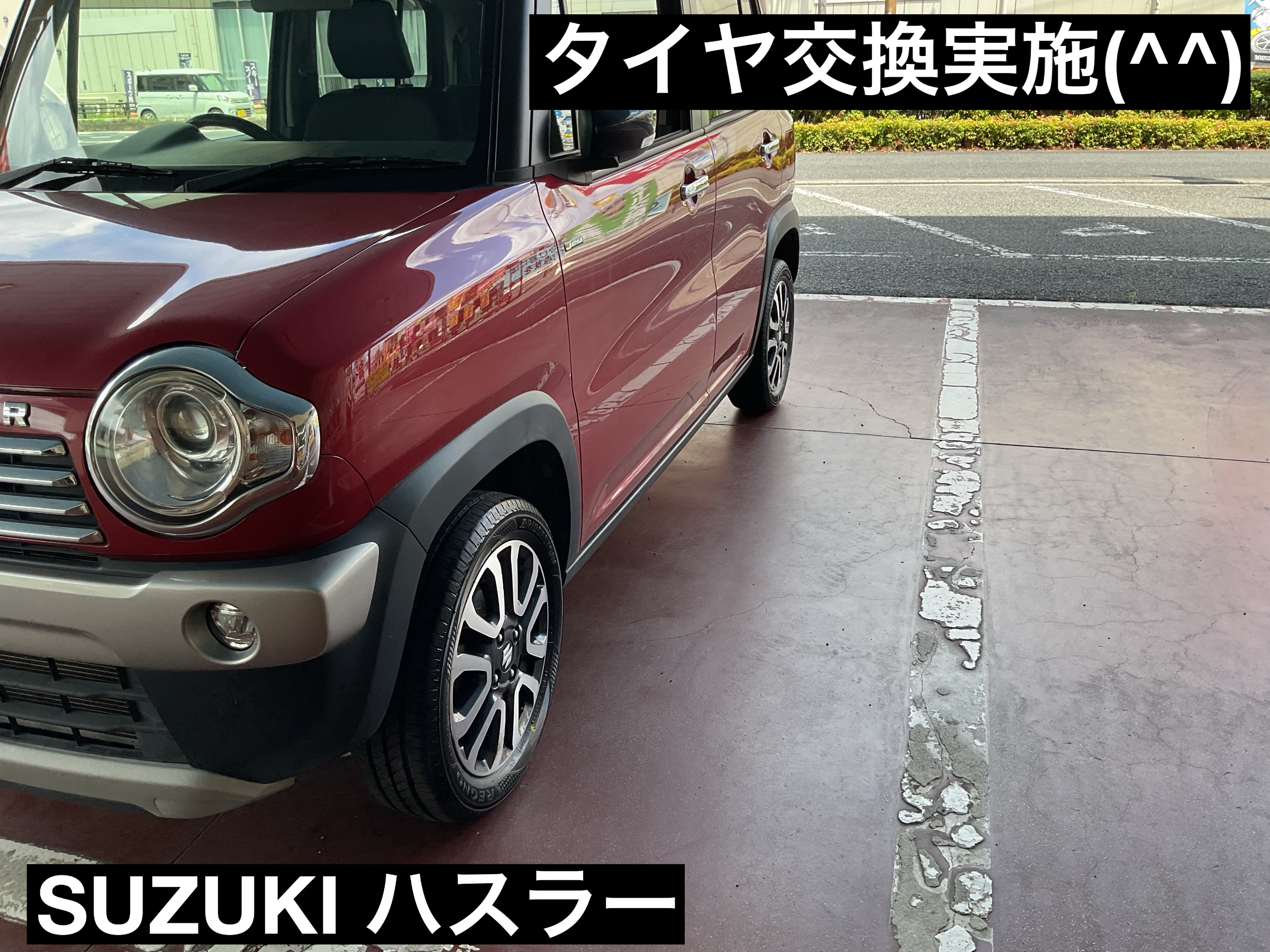 スタッフが撮影