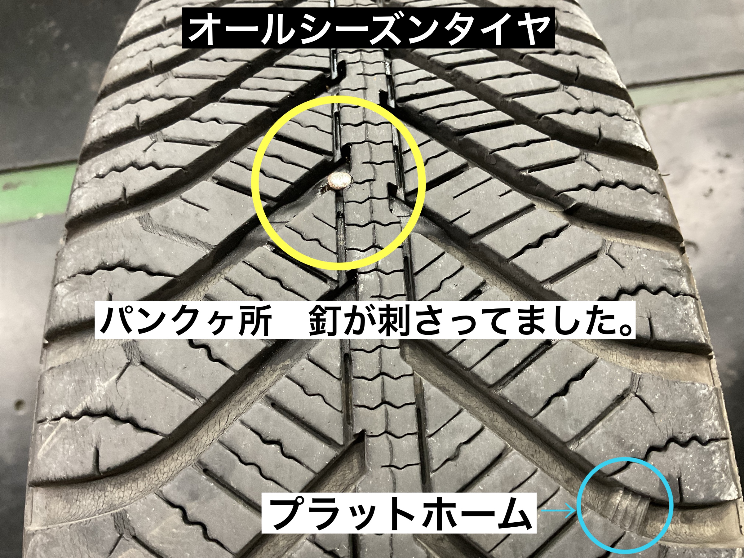 スタッフが撮影