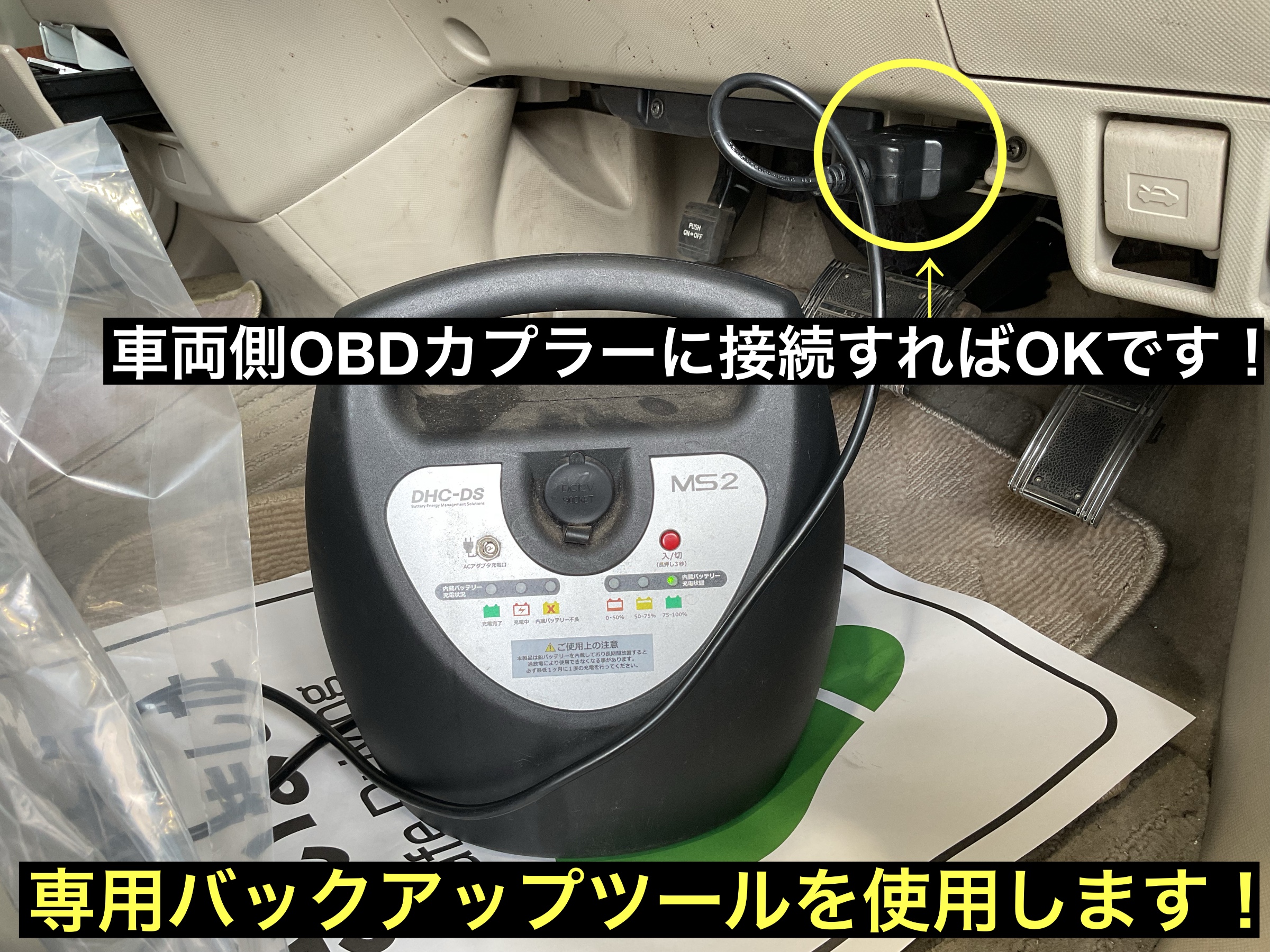 スタッフが撮影