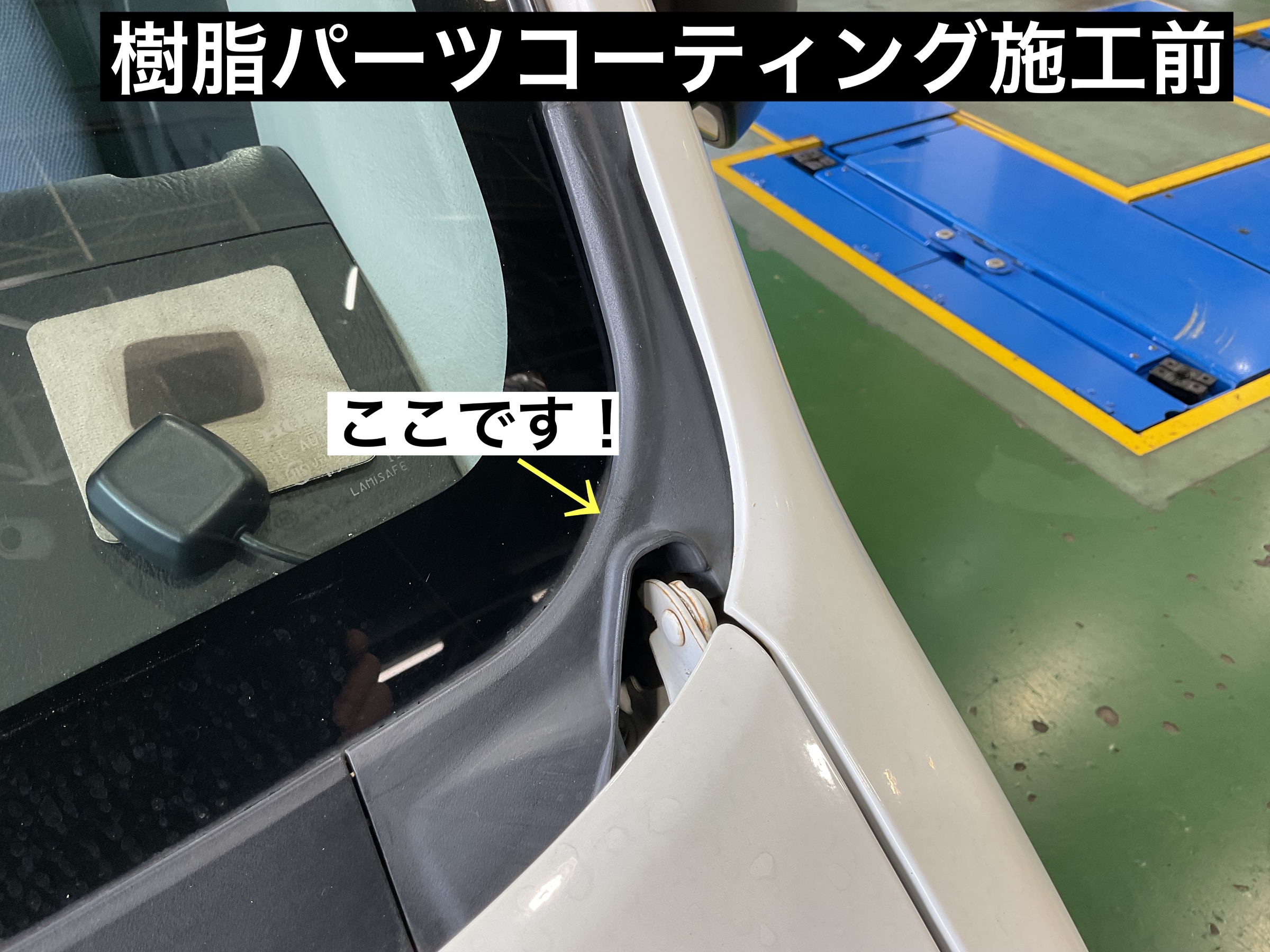 スタッフが撮影