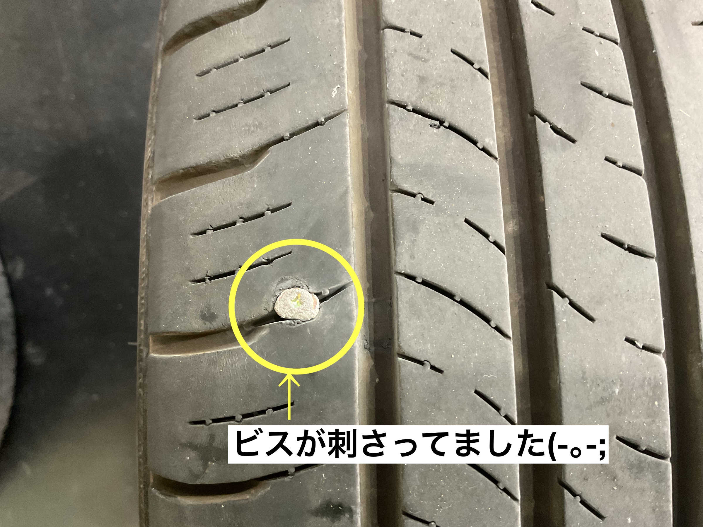 スタッフが撮影