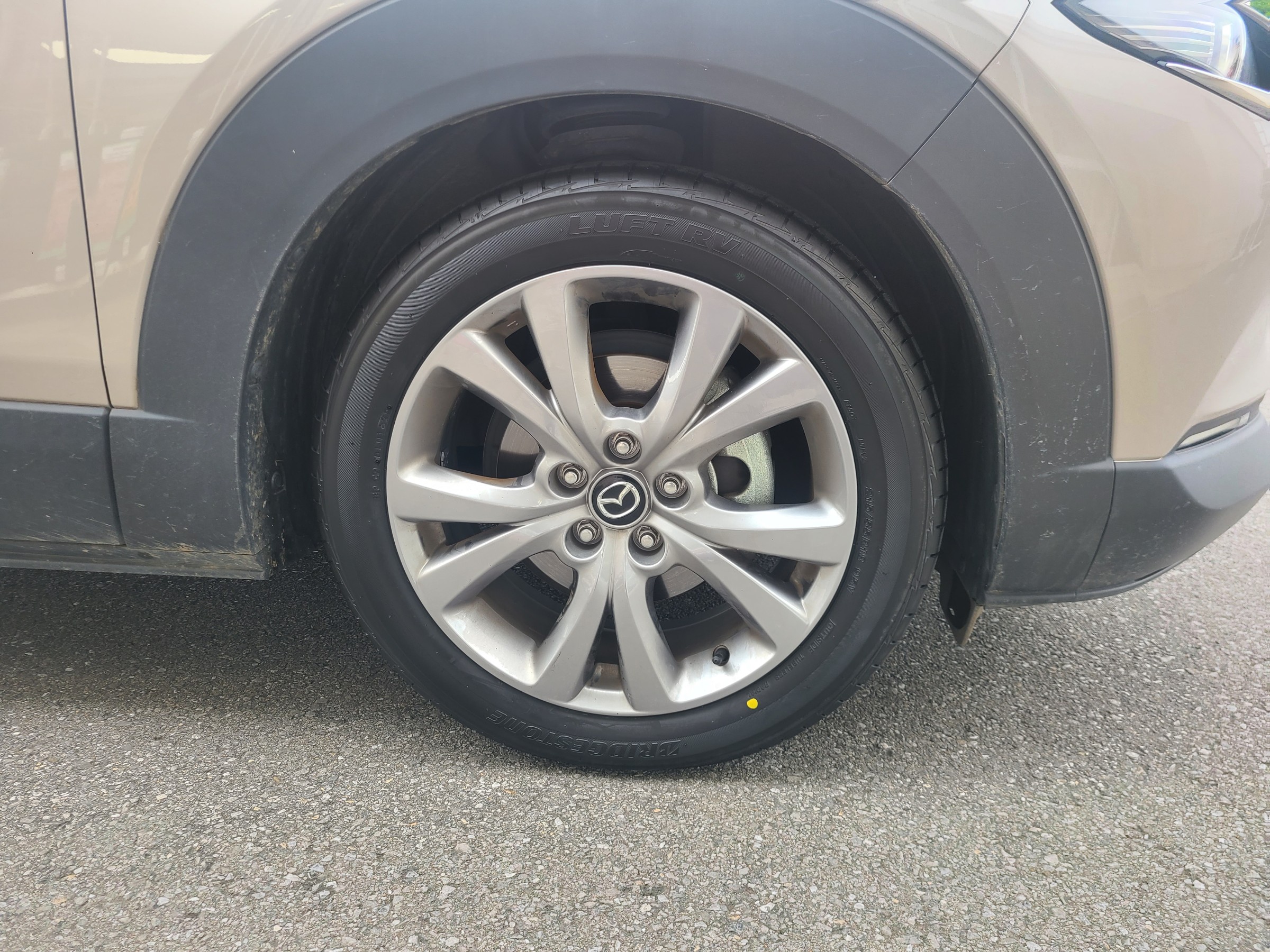 スタッフが撮影しました。