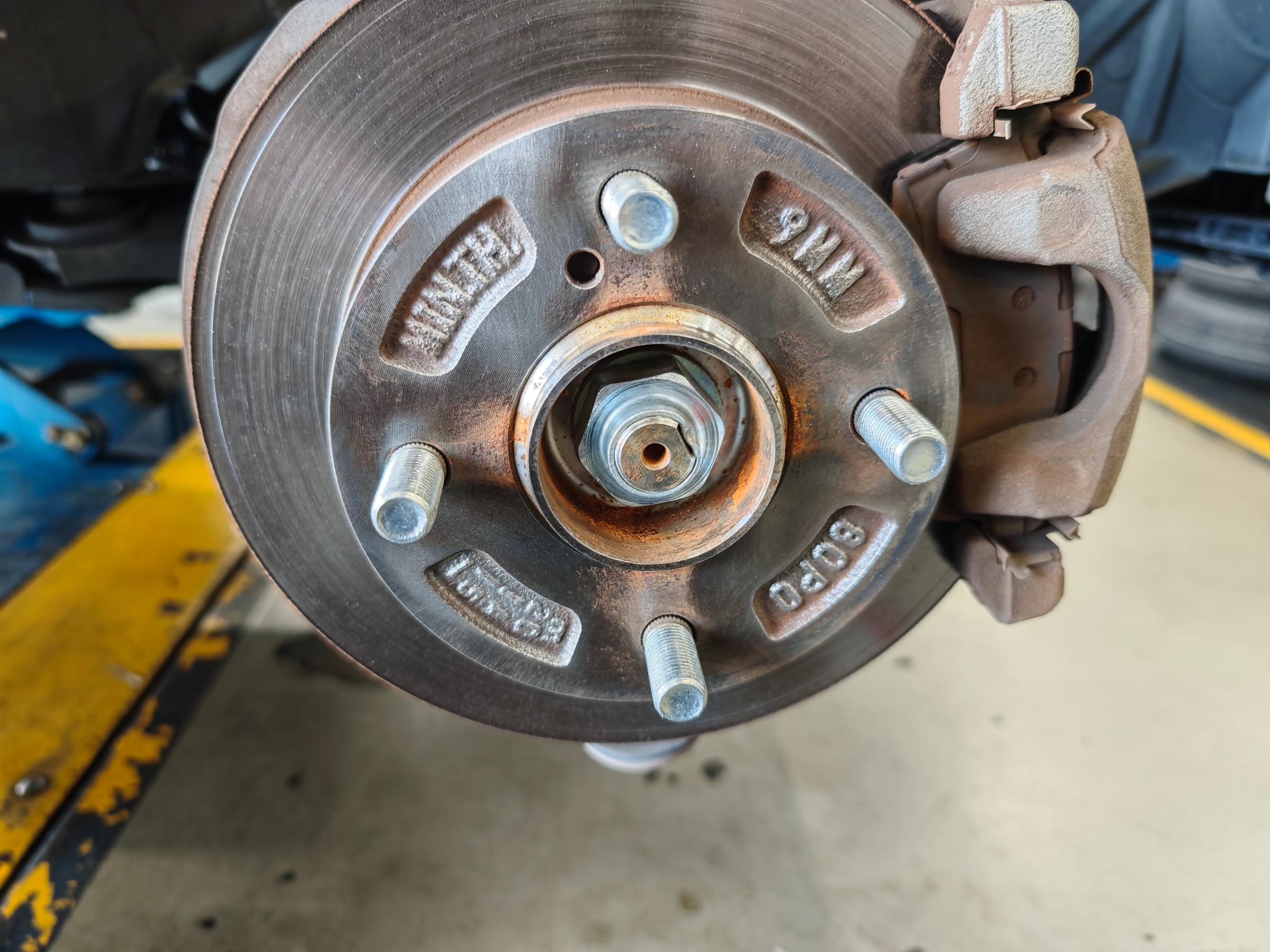 輪切　サビタ根　オブジェ 輪切 サビタ根 オブジェ