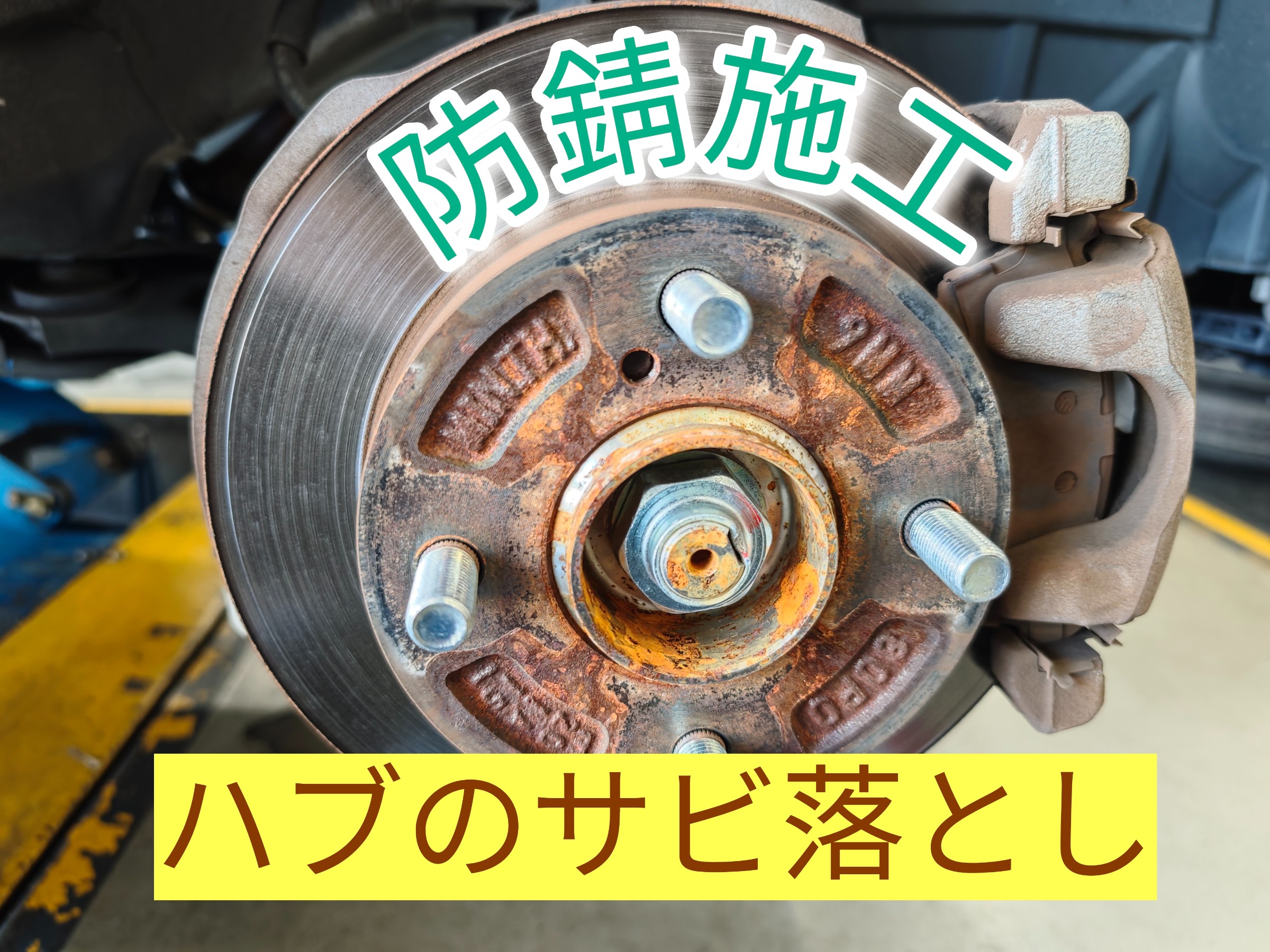 輪切　サビタ根　オブジェ 輪切 サビタ根 オブジェ