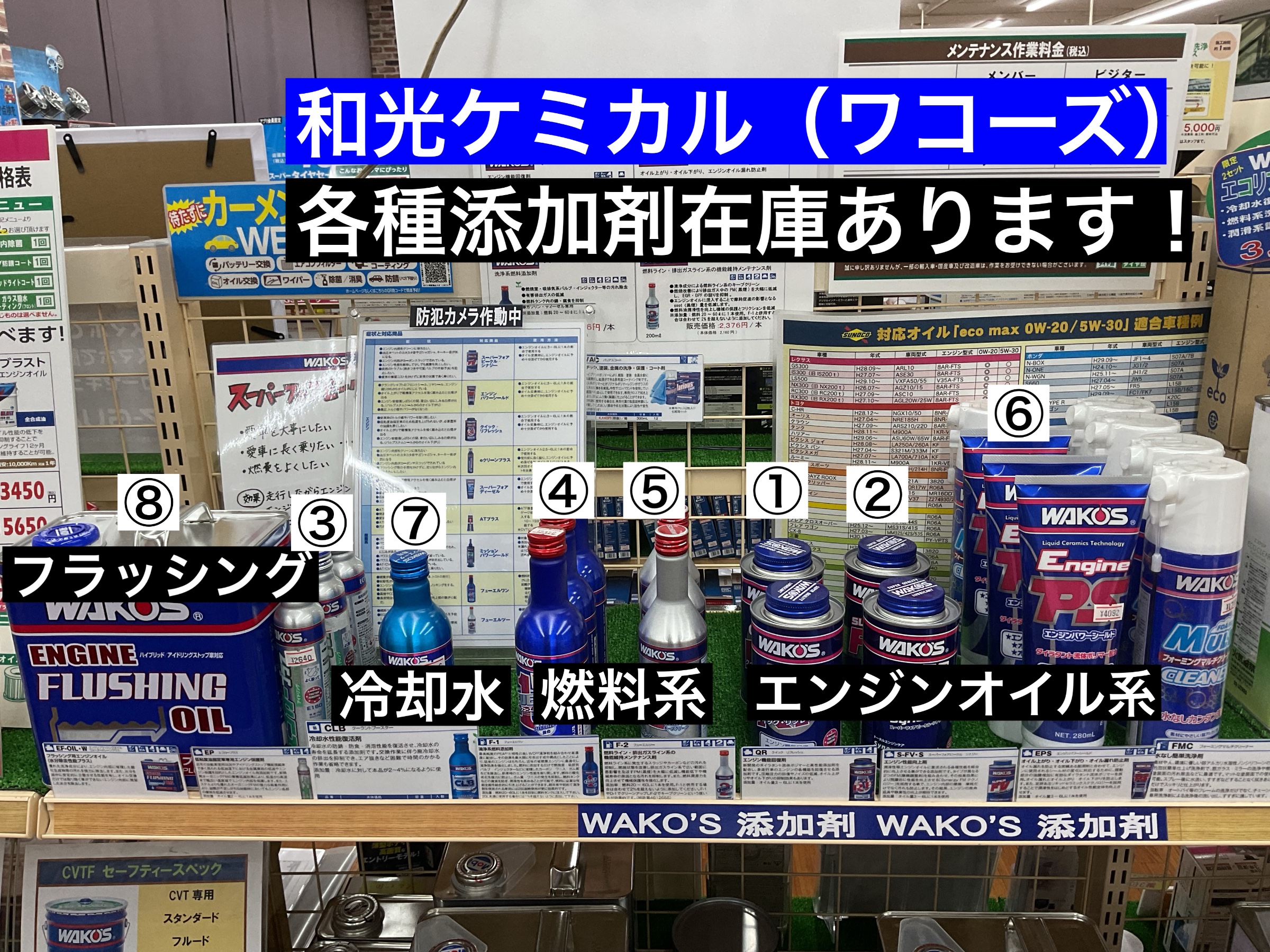スタッフが撮影
