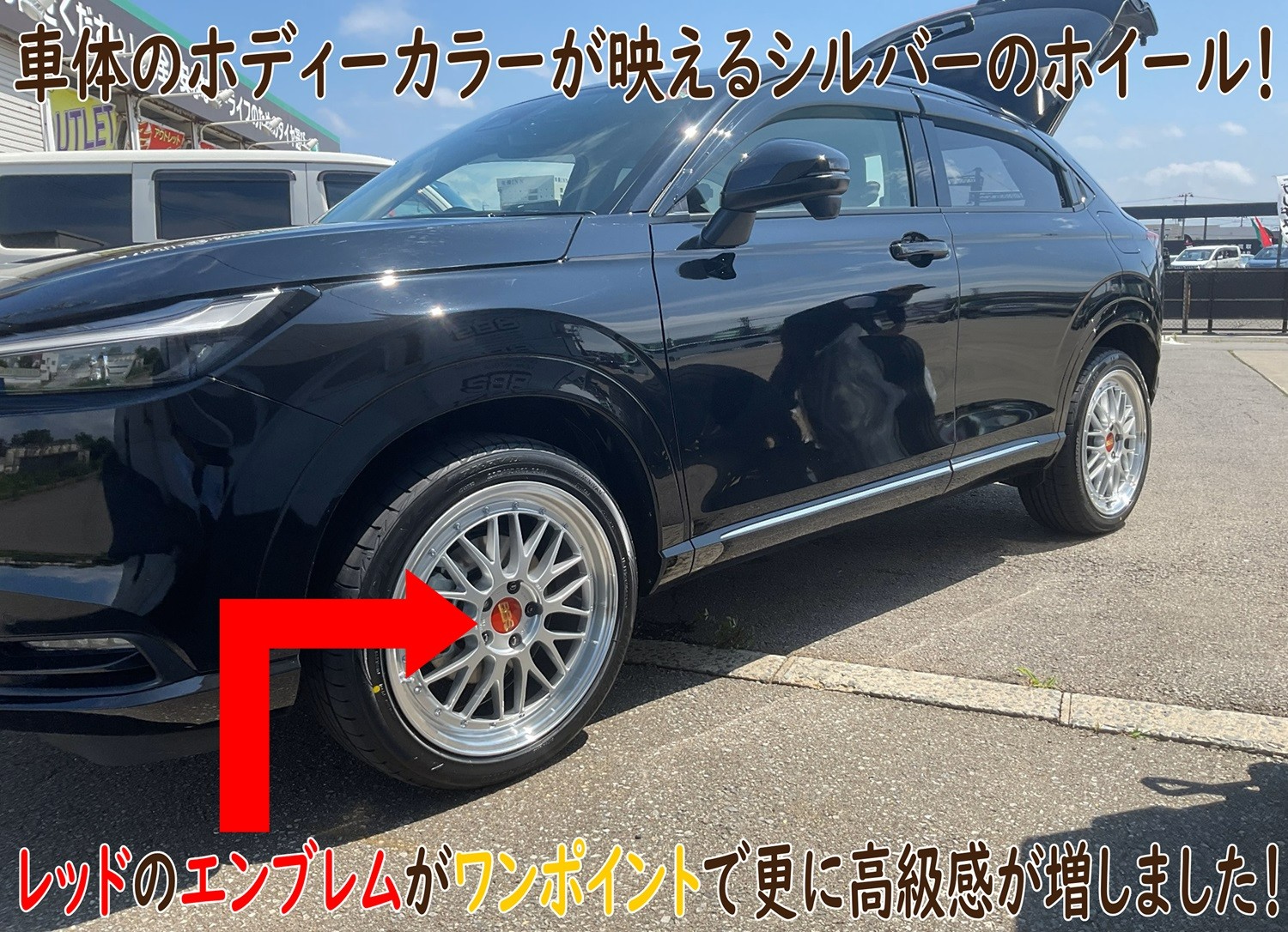スタッフが作成した画像