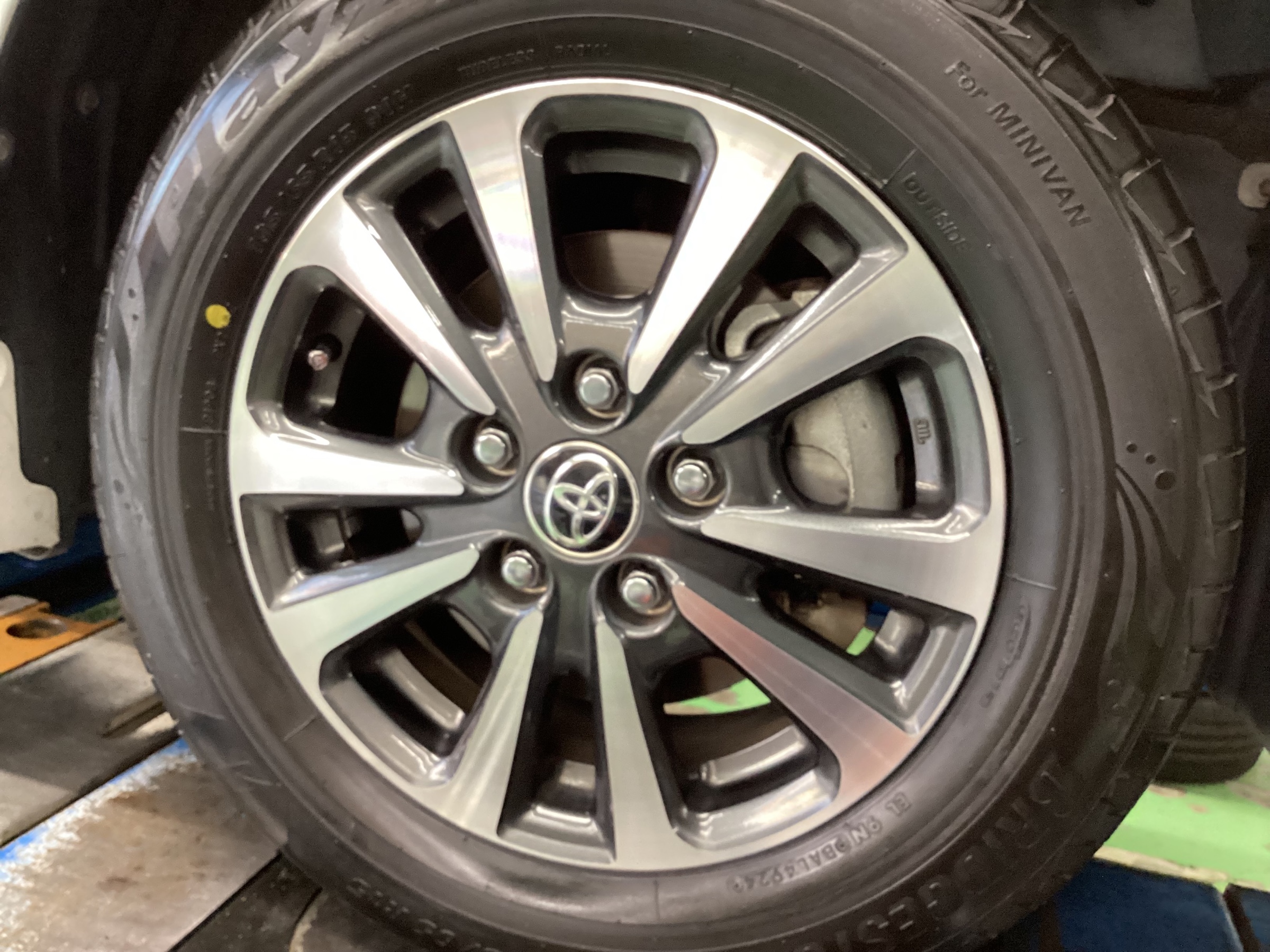 スタッフ撮影分