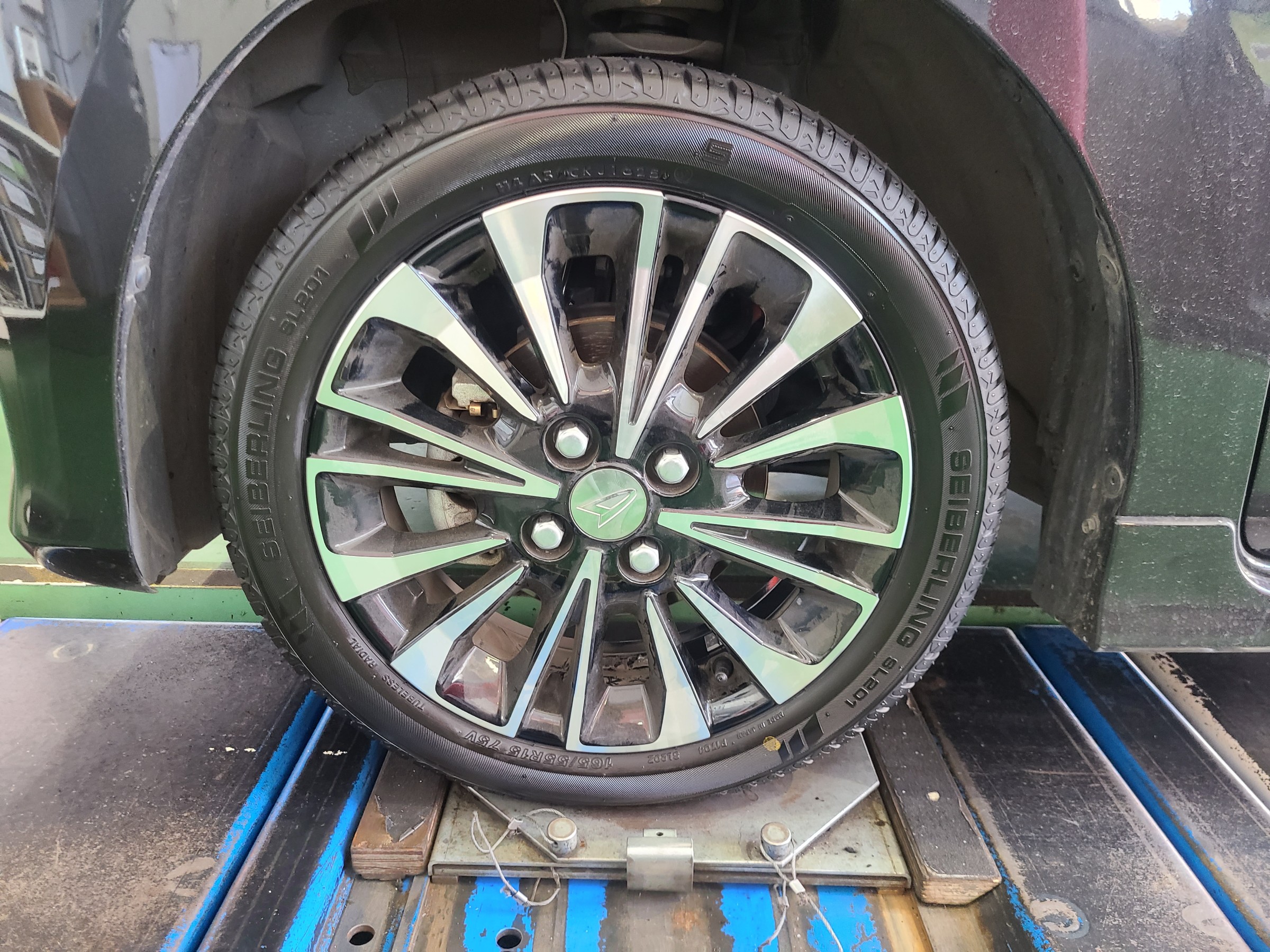 スタッフが撮影しました。