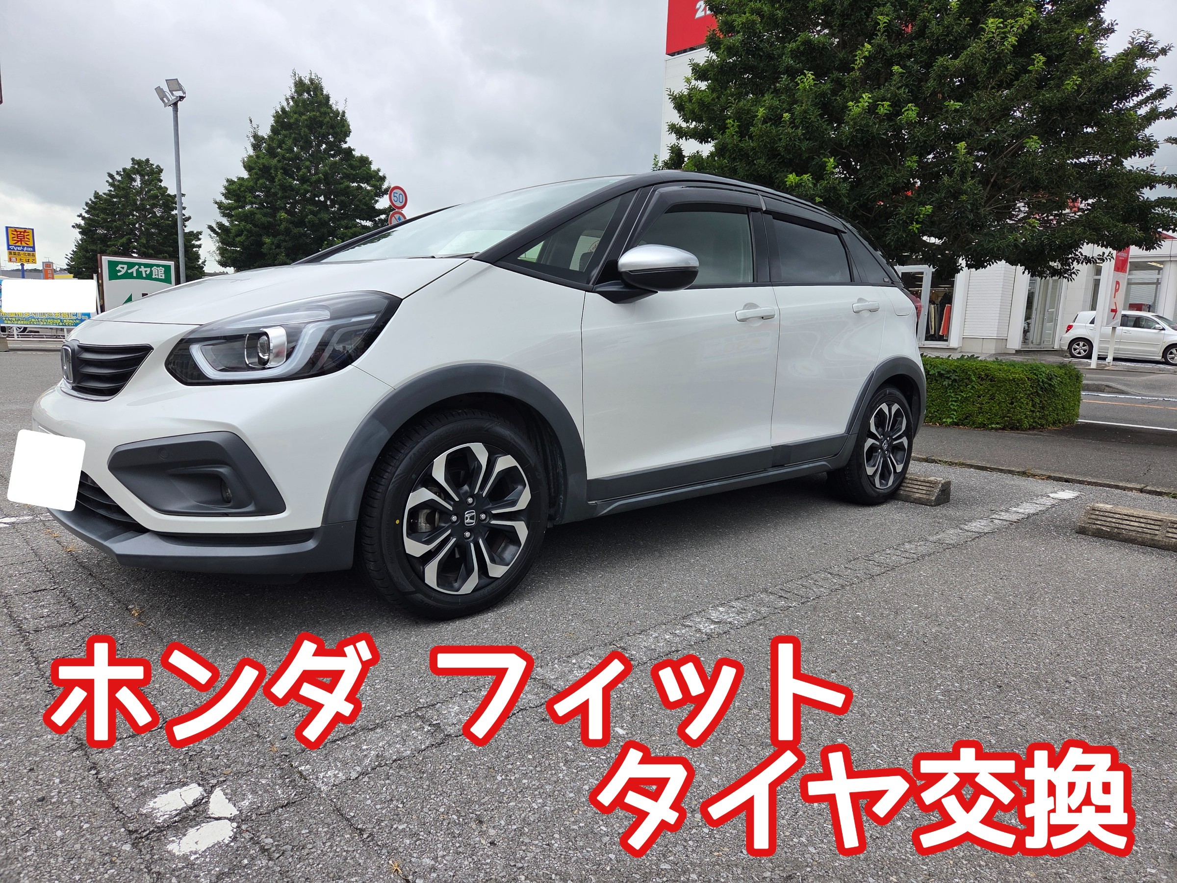 スタッフが撮影しました