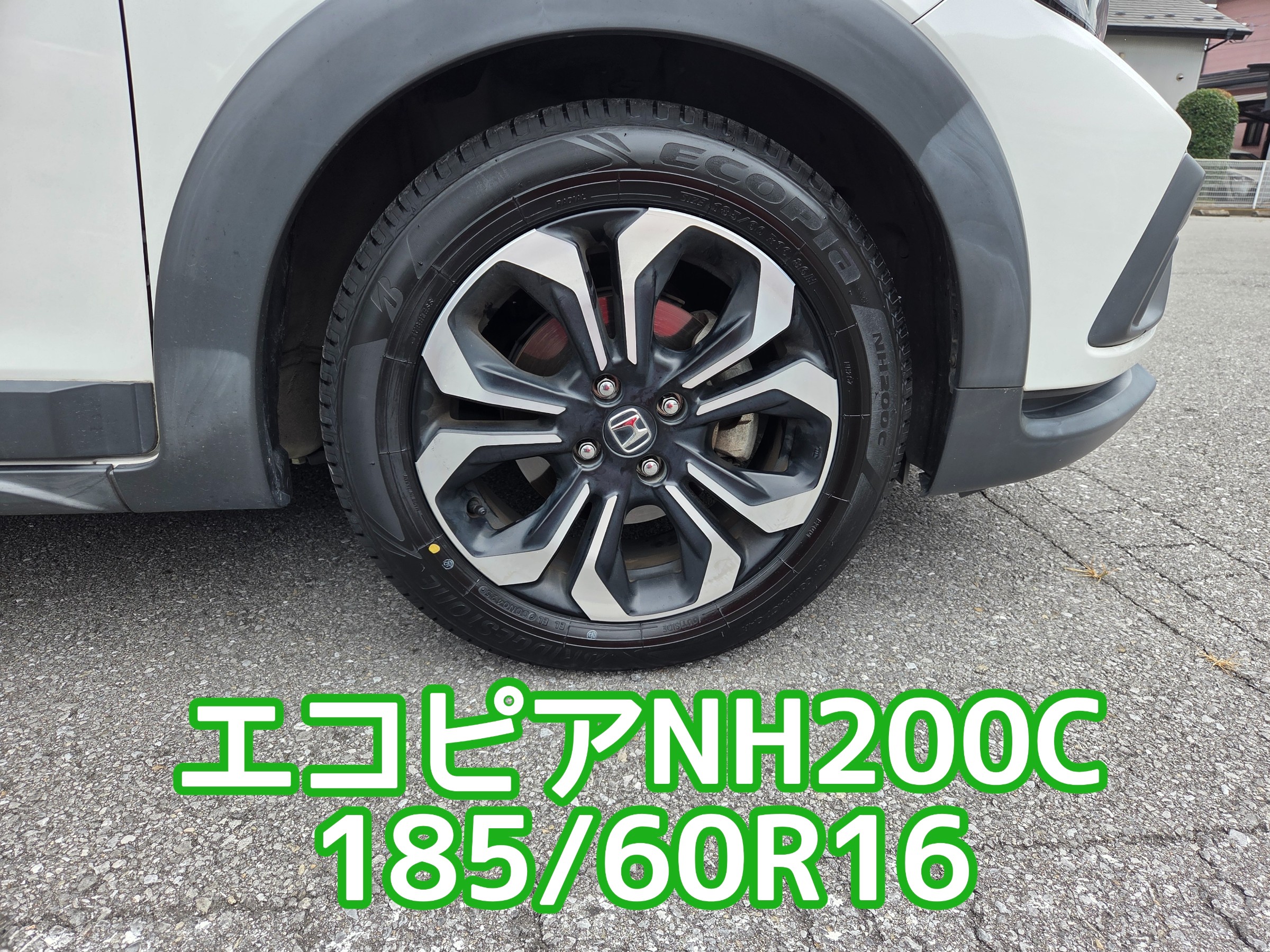 スタッフが撮影しました