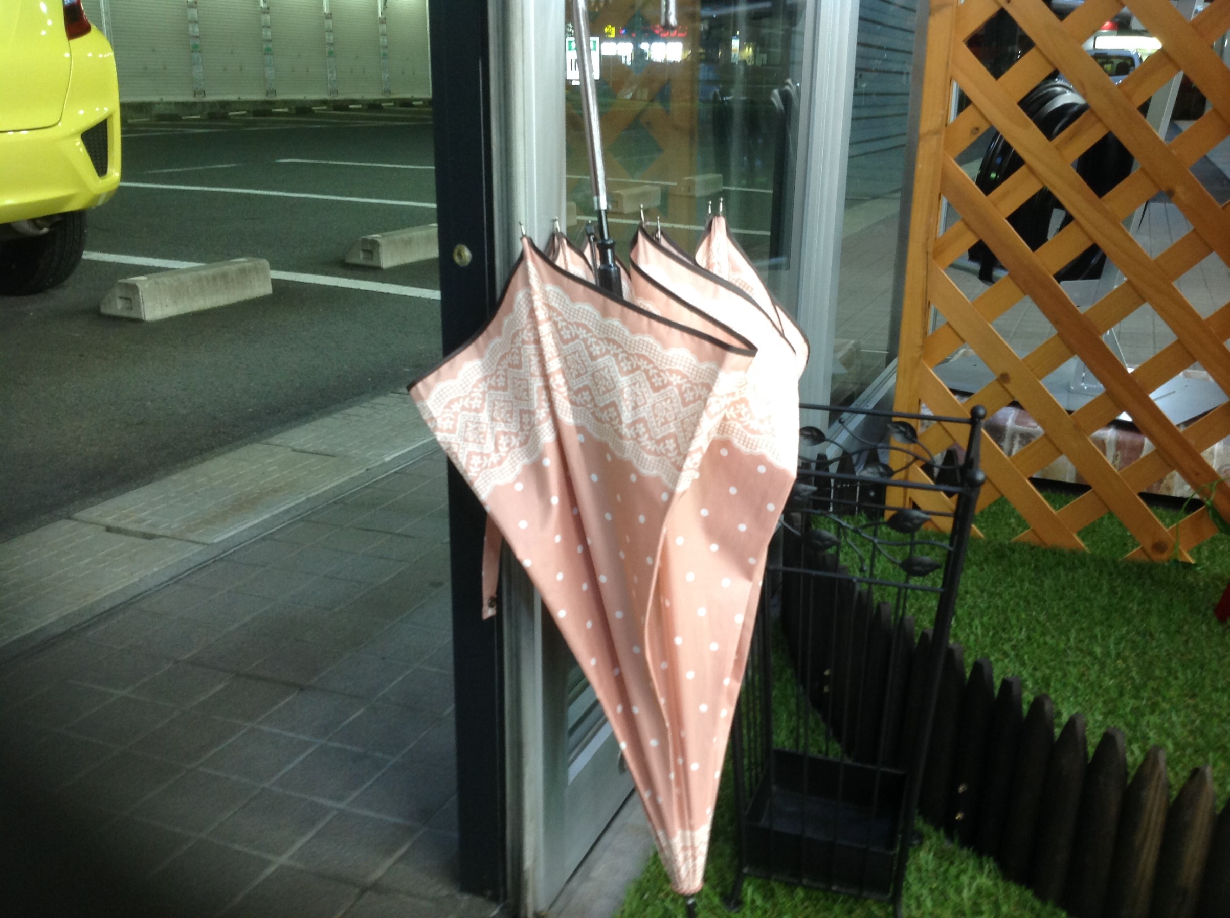 スタッフ撮影の画像