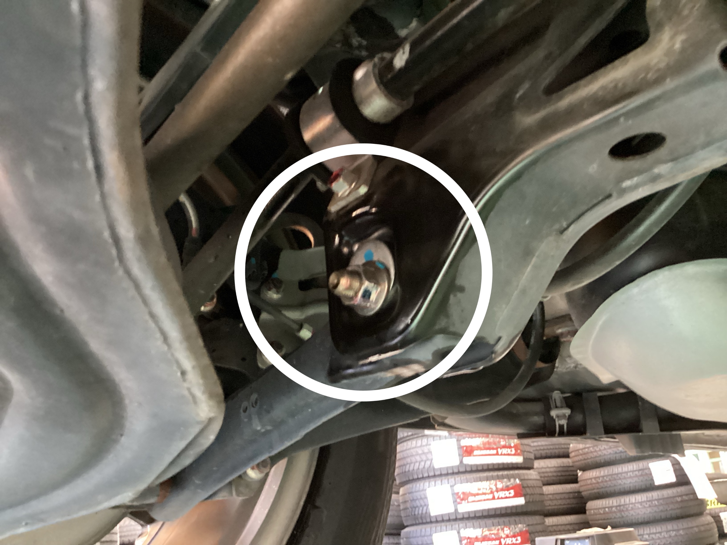 スタッフ撮影分