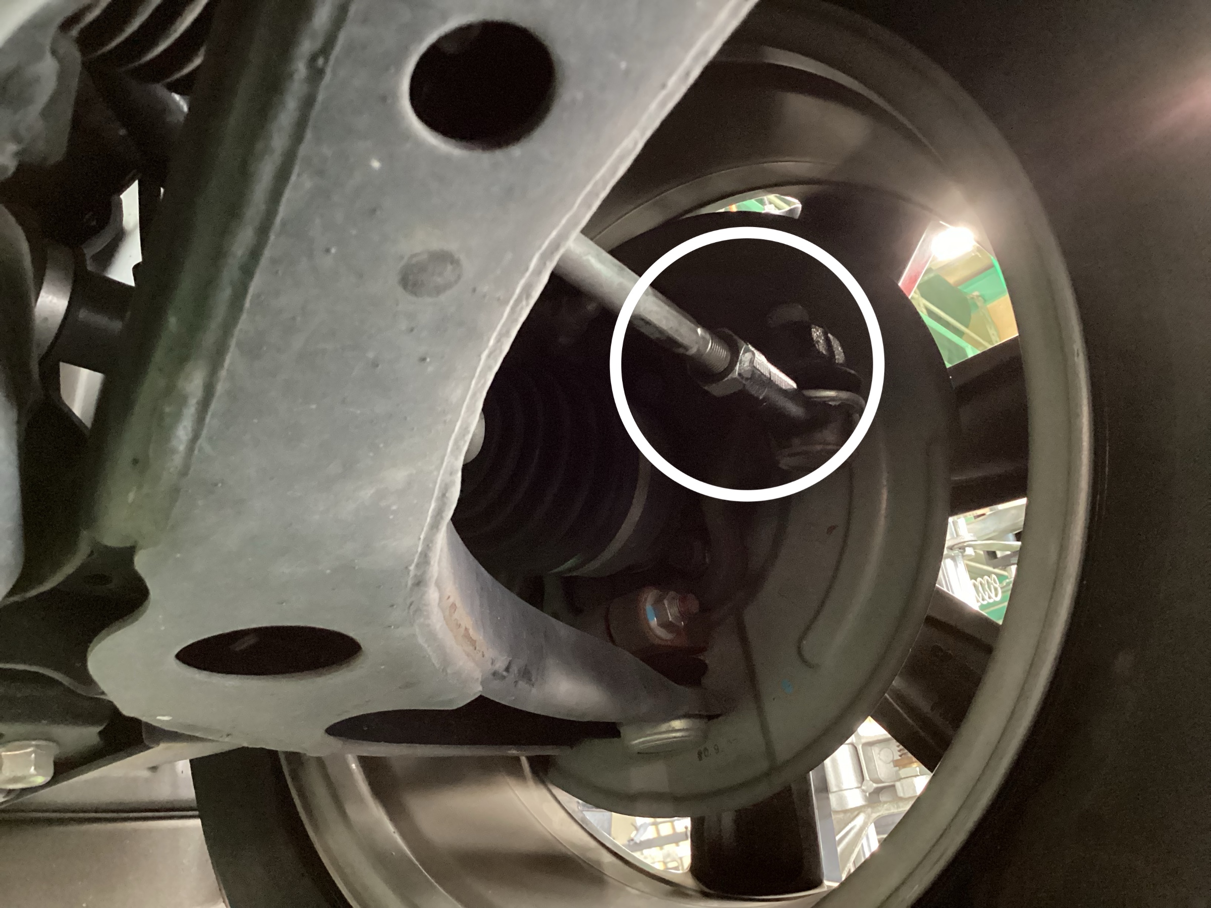 スタッフ撮影分