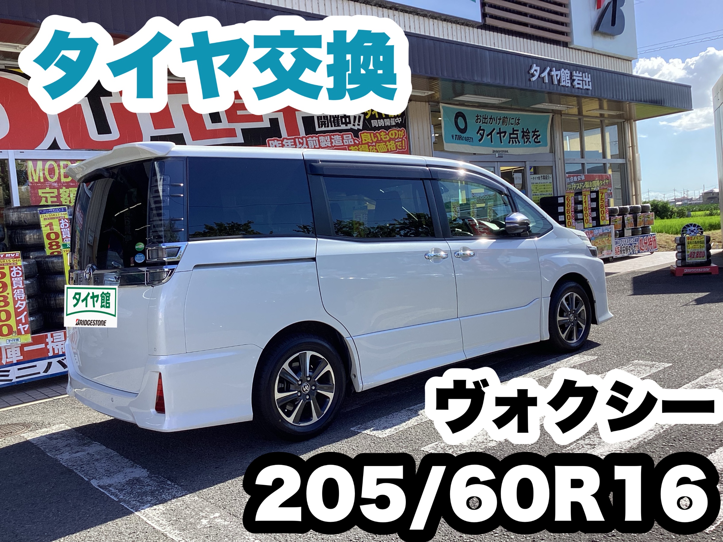 スタッフ撮影分