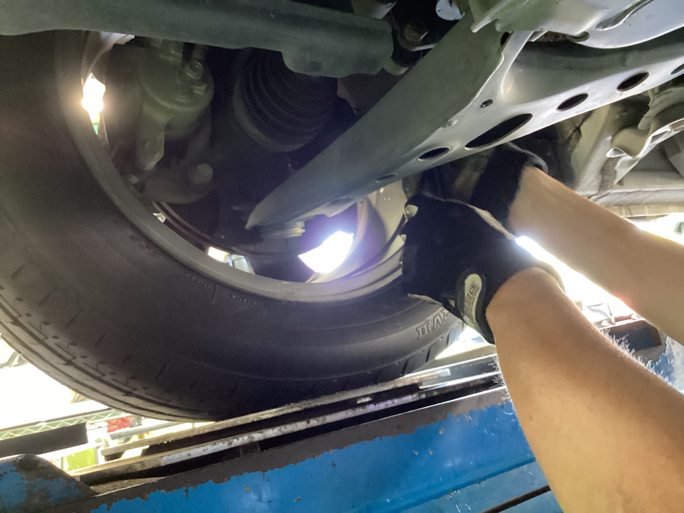 スタッフ撮影分