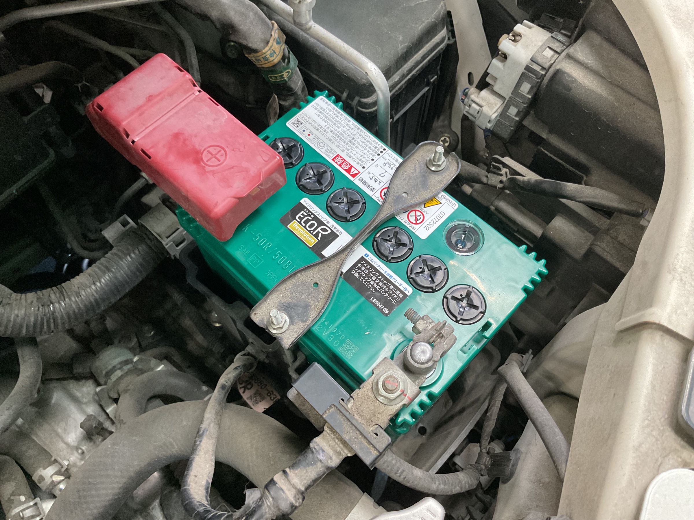 スタッフ撮影分