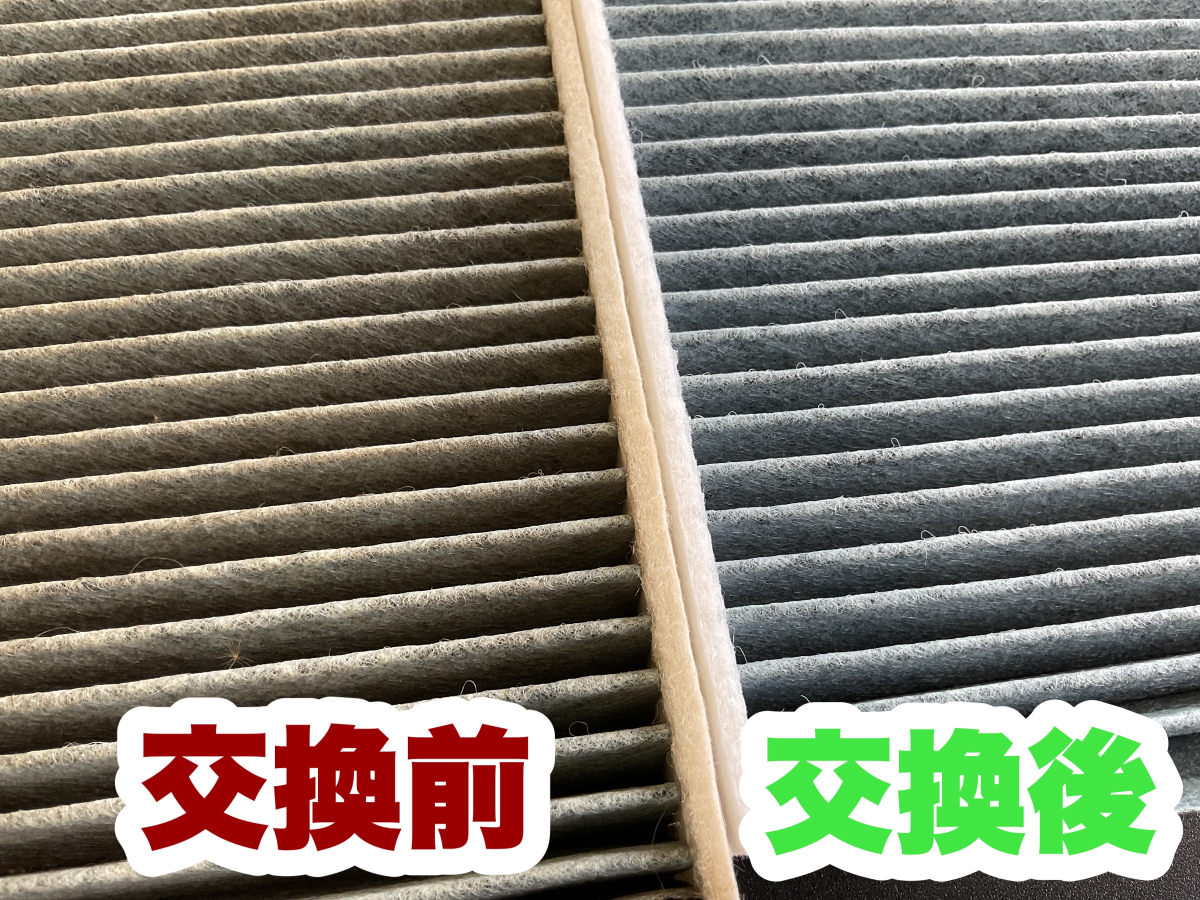 スタッフ撮影分