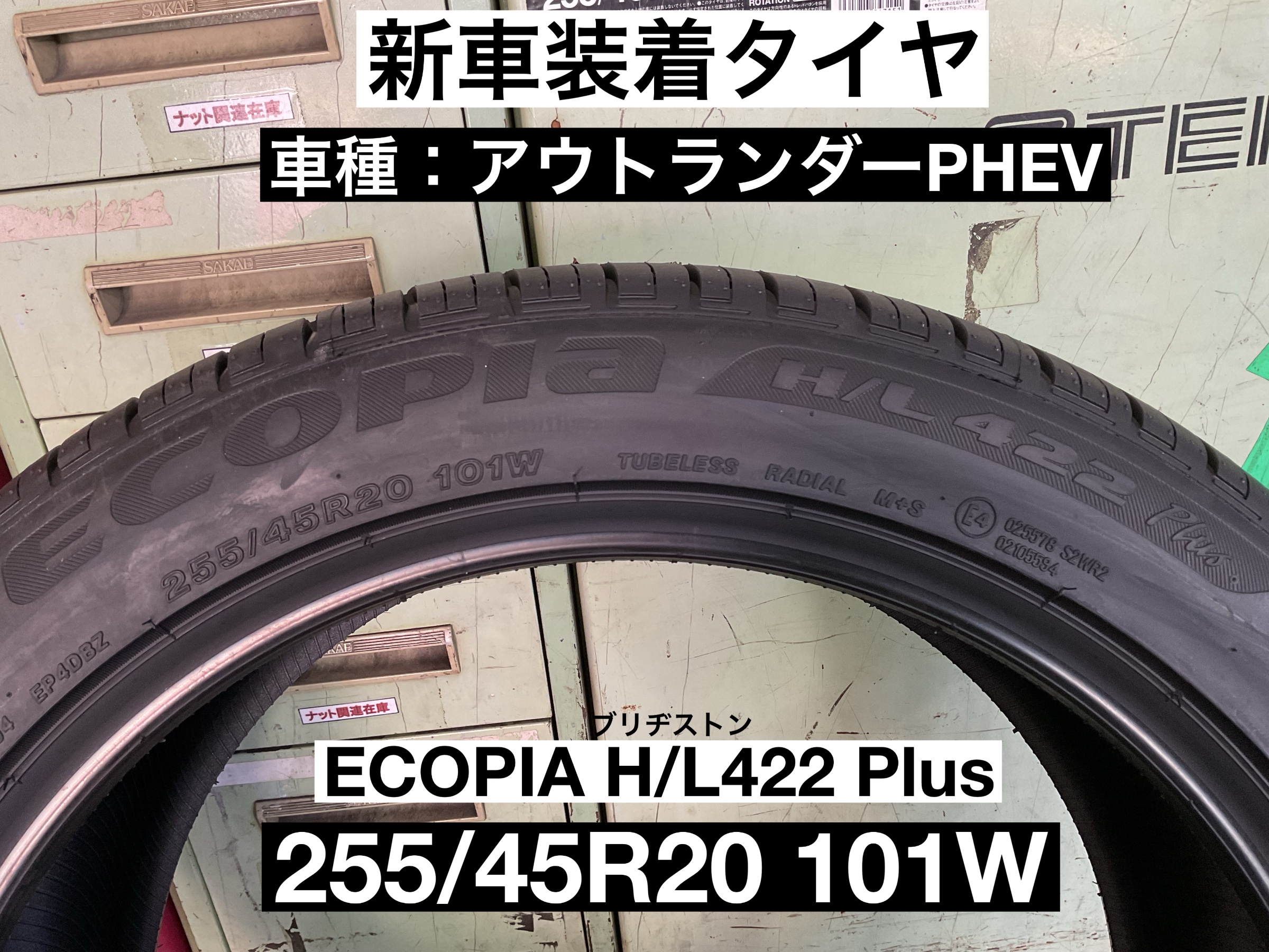スタッフが撮影