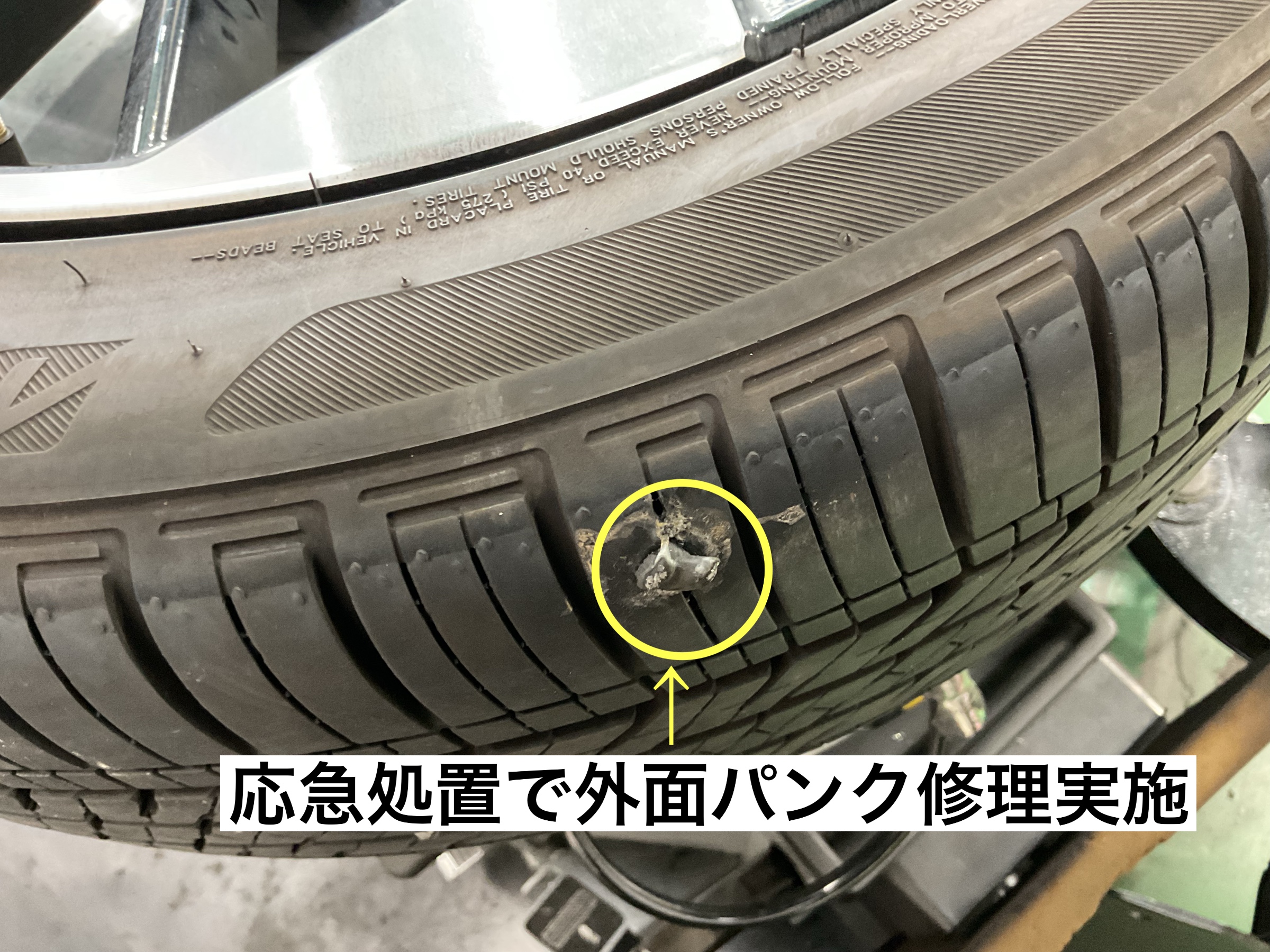 スタッフが撮影