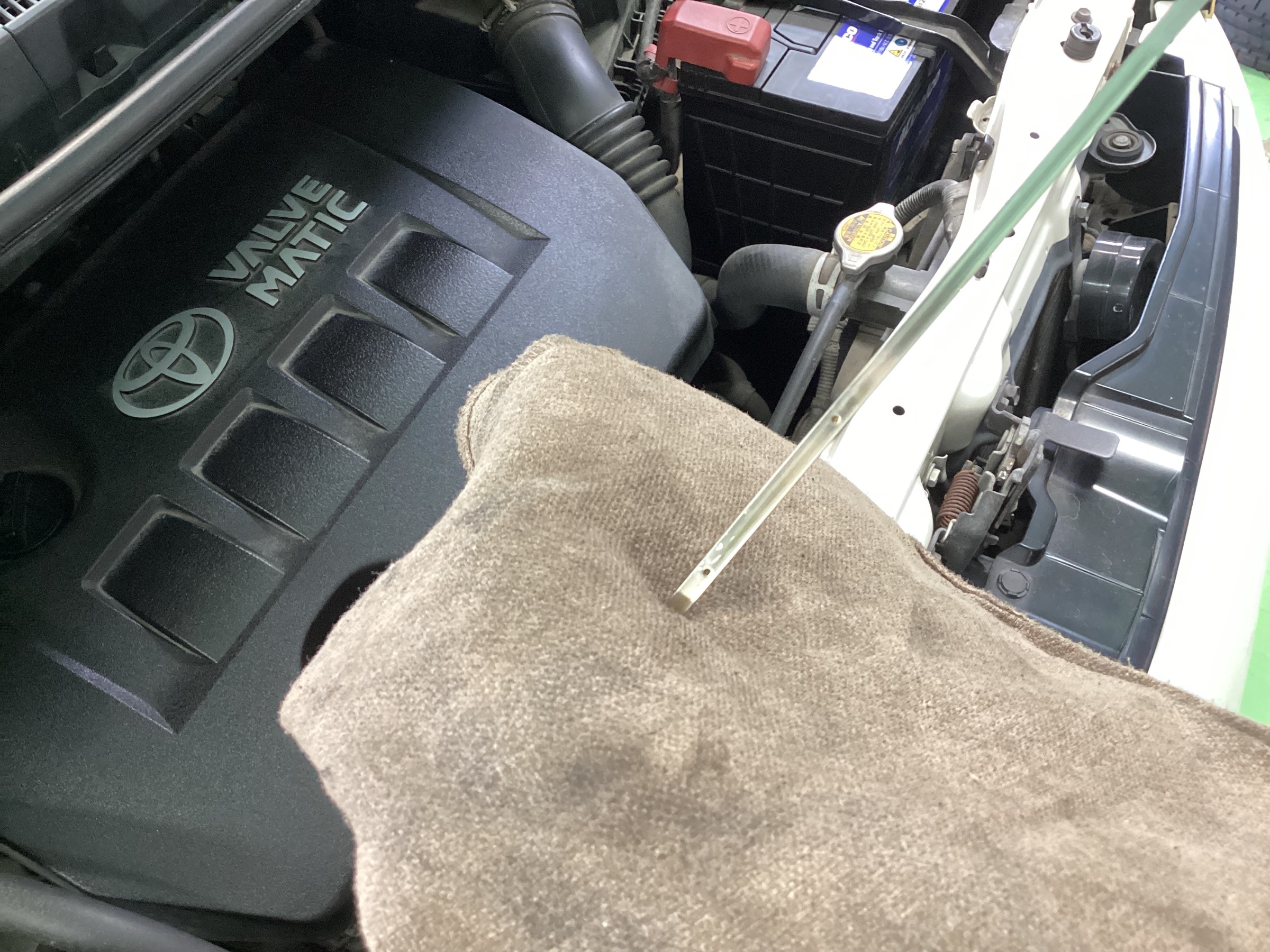 スタッフ撮影分