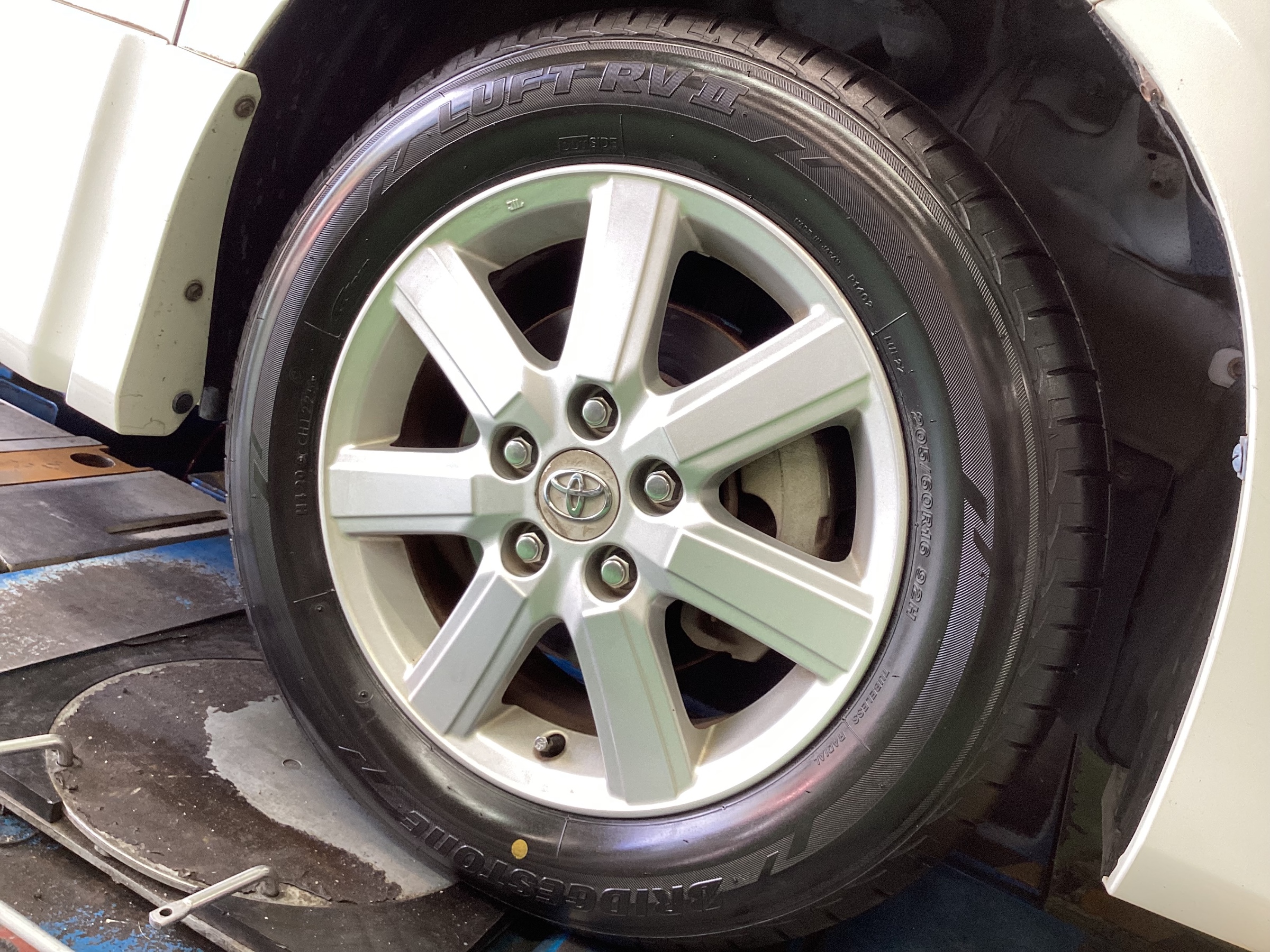 スタッフ撮影分