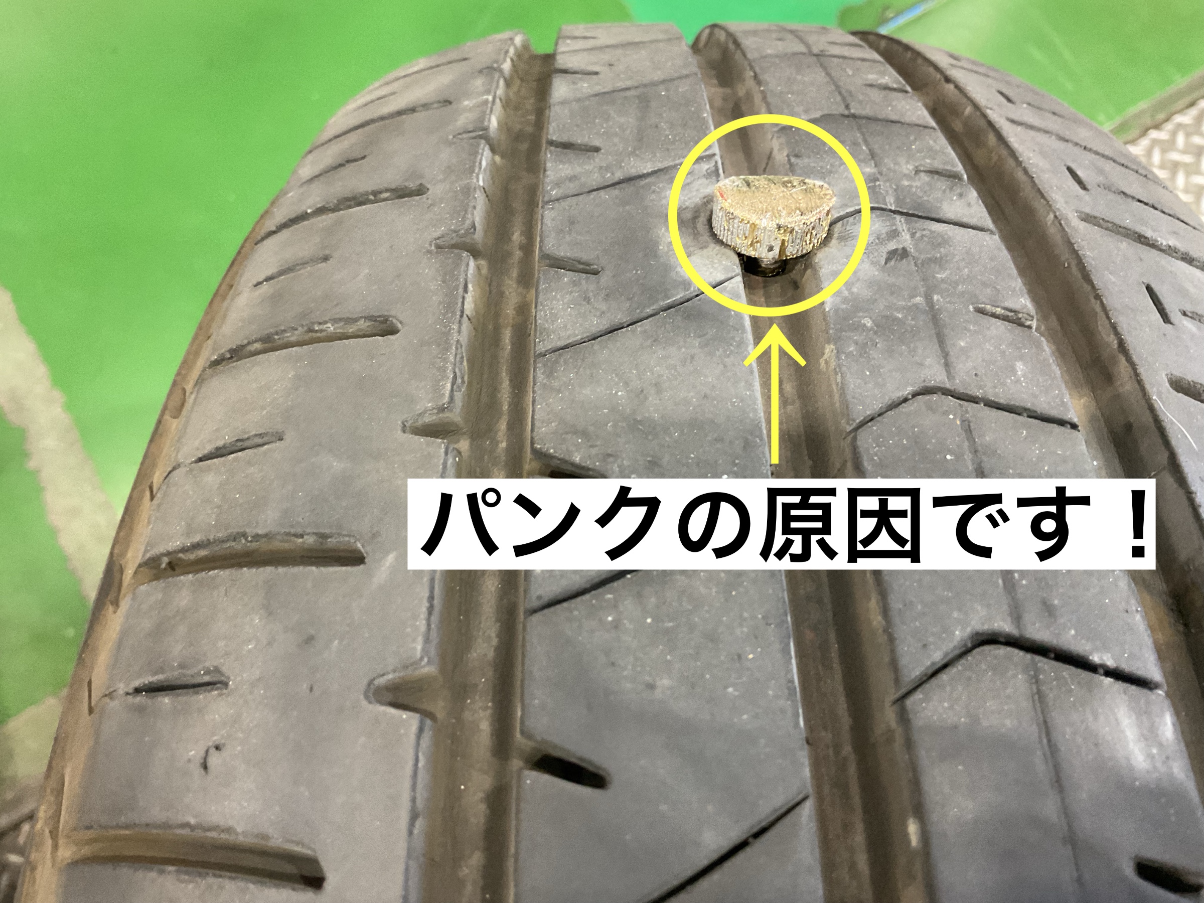 スタッフが撮影