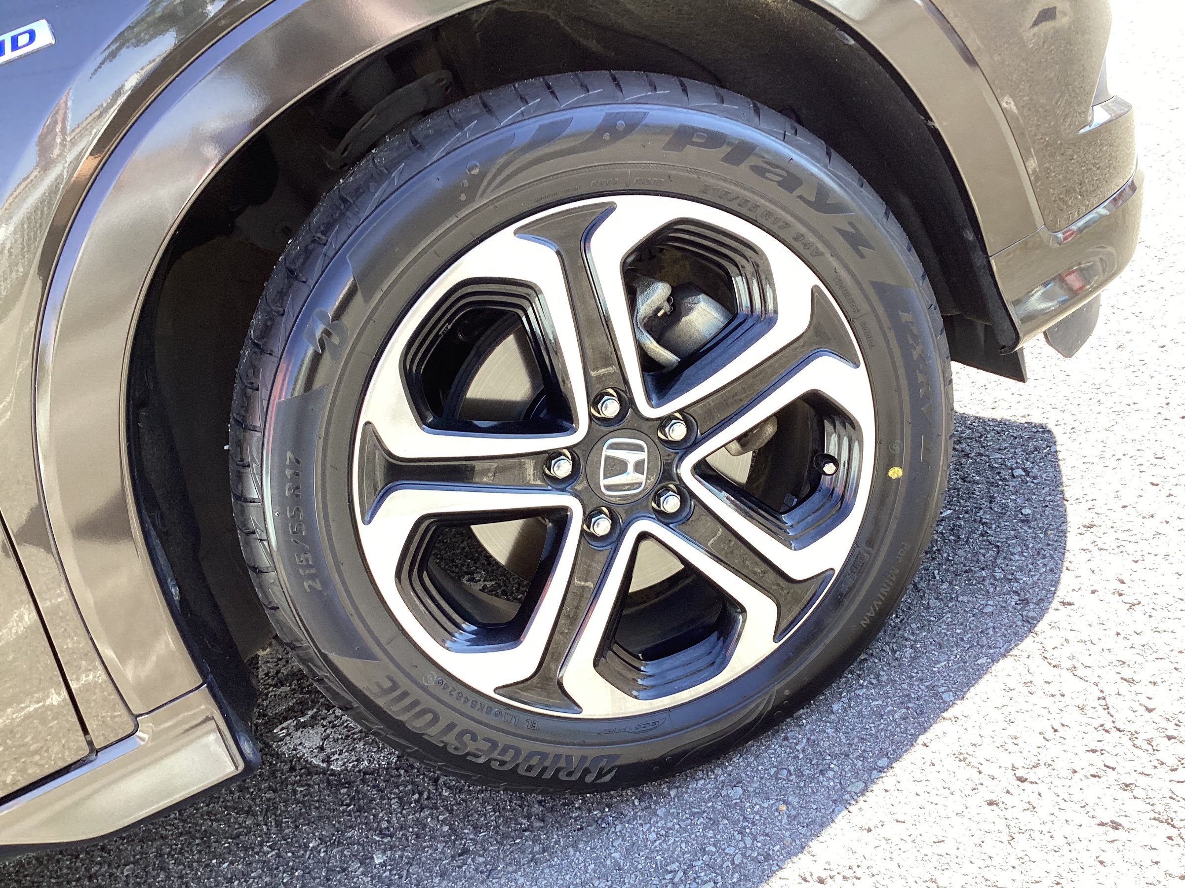 スタッフ撮影分