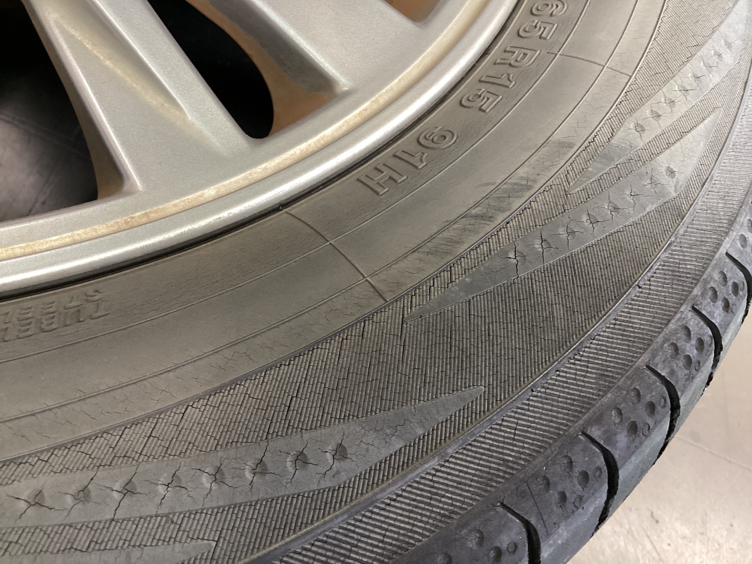 スタッフ撮影分