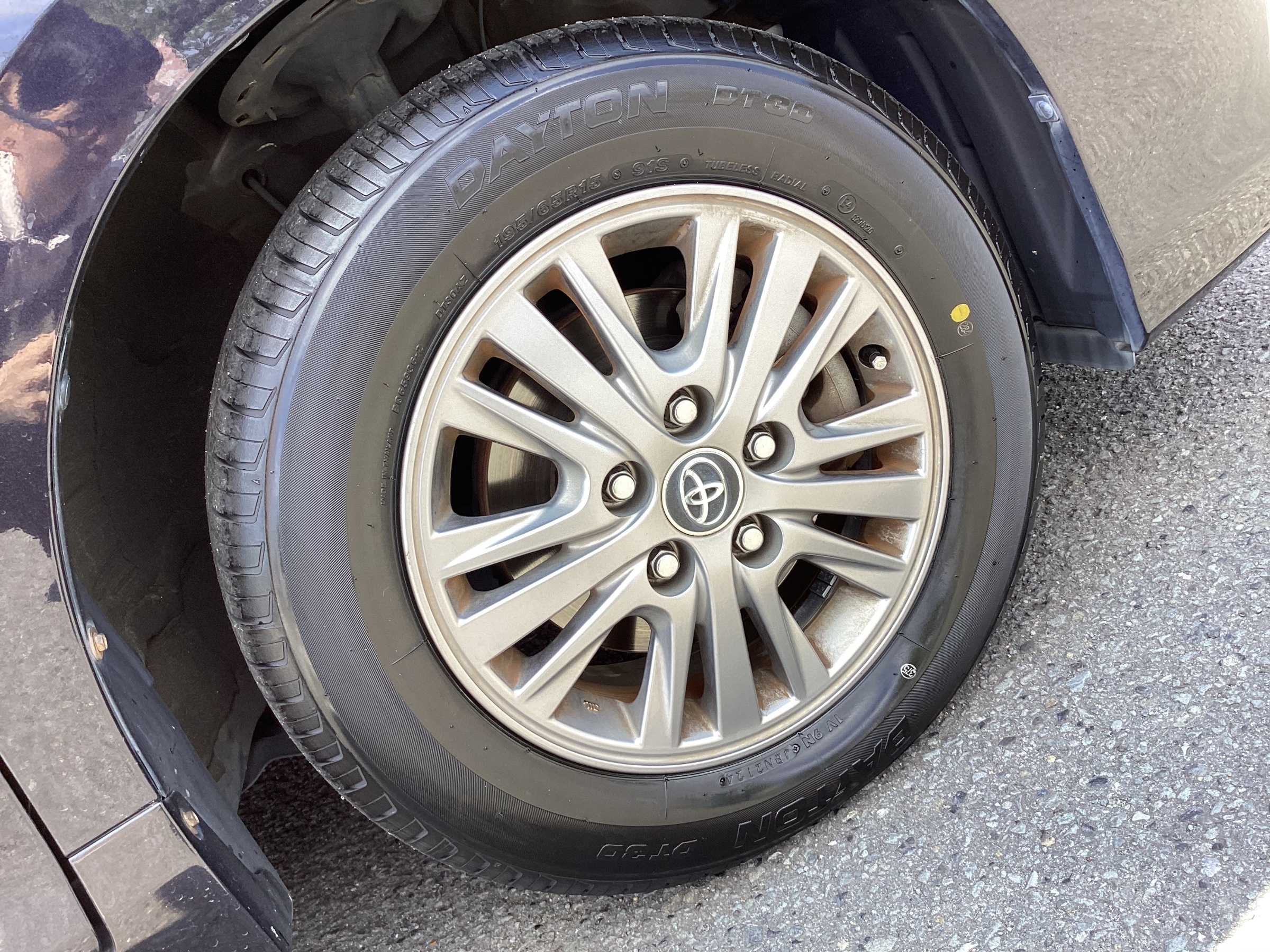 スタッフ撮影分