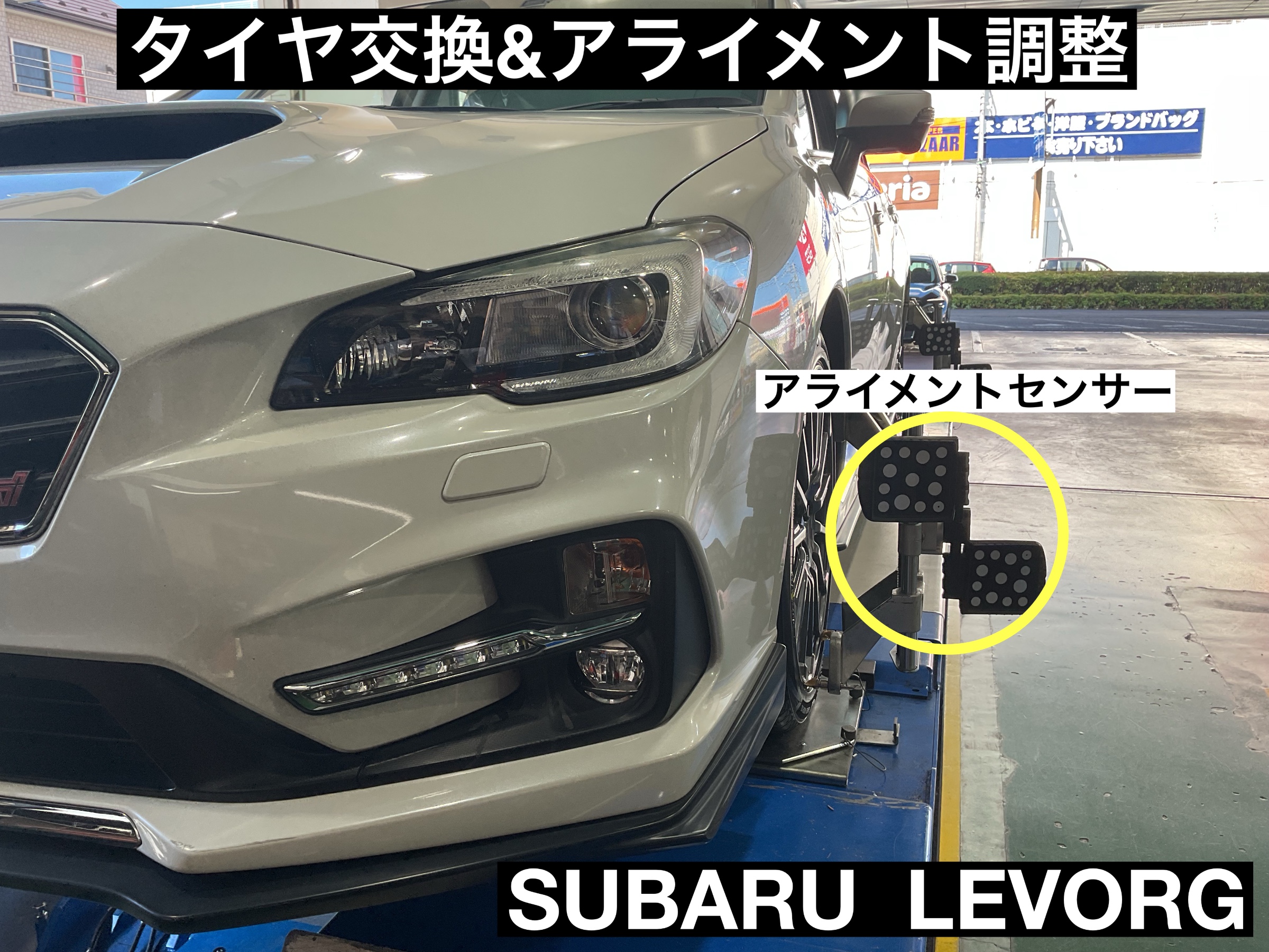 スタッフが撮影