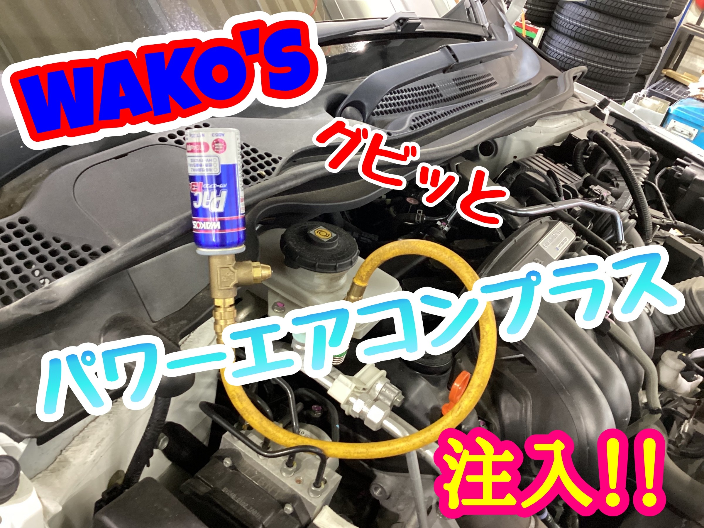 スタッフ撮影
