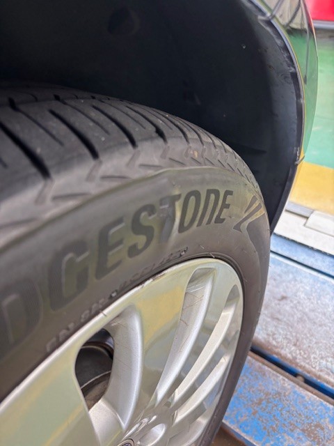 スタッフ撮影です。