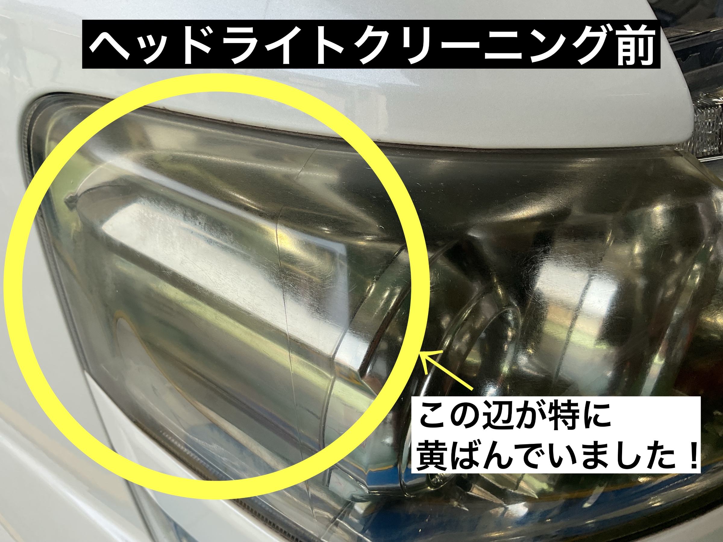 スタッフが撮影