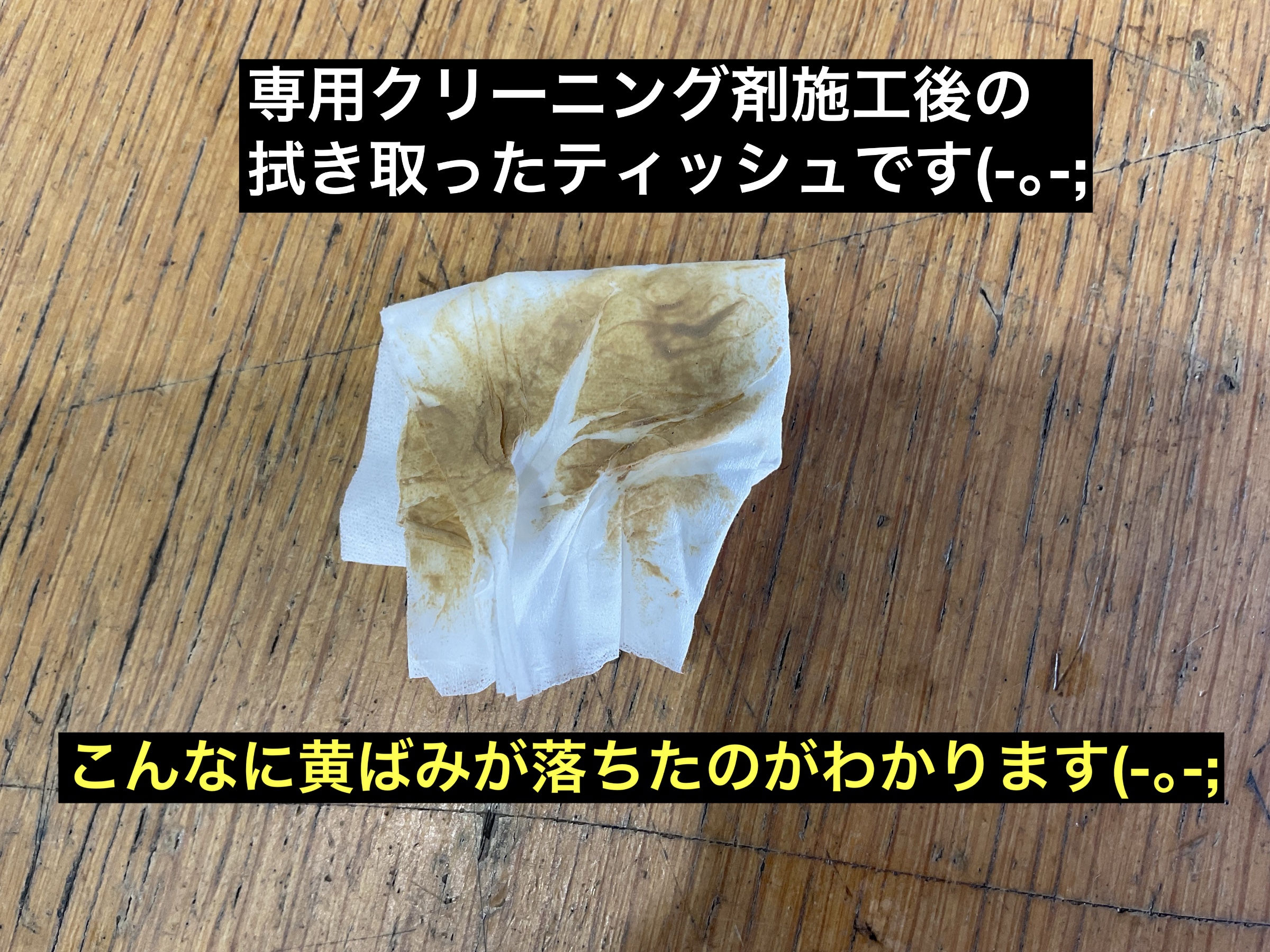 スタッフが撮影