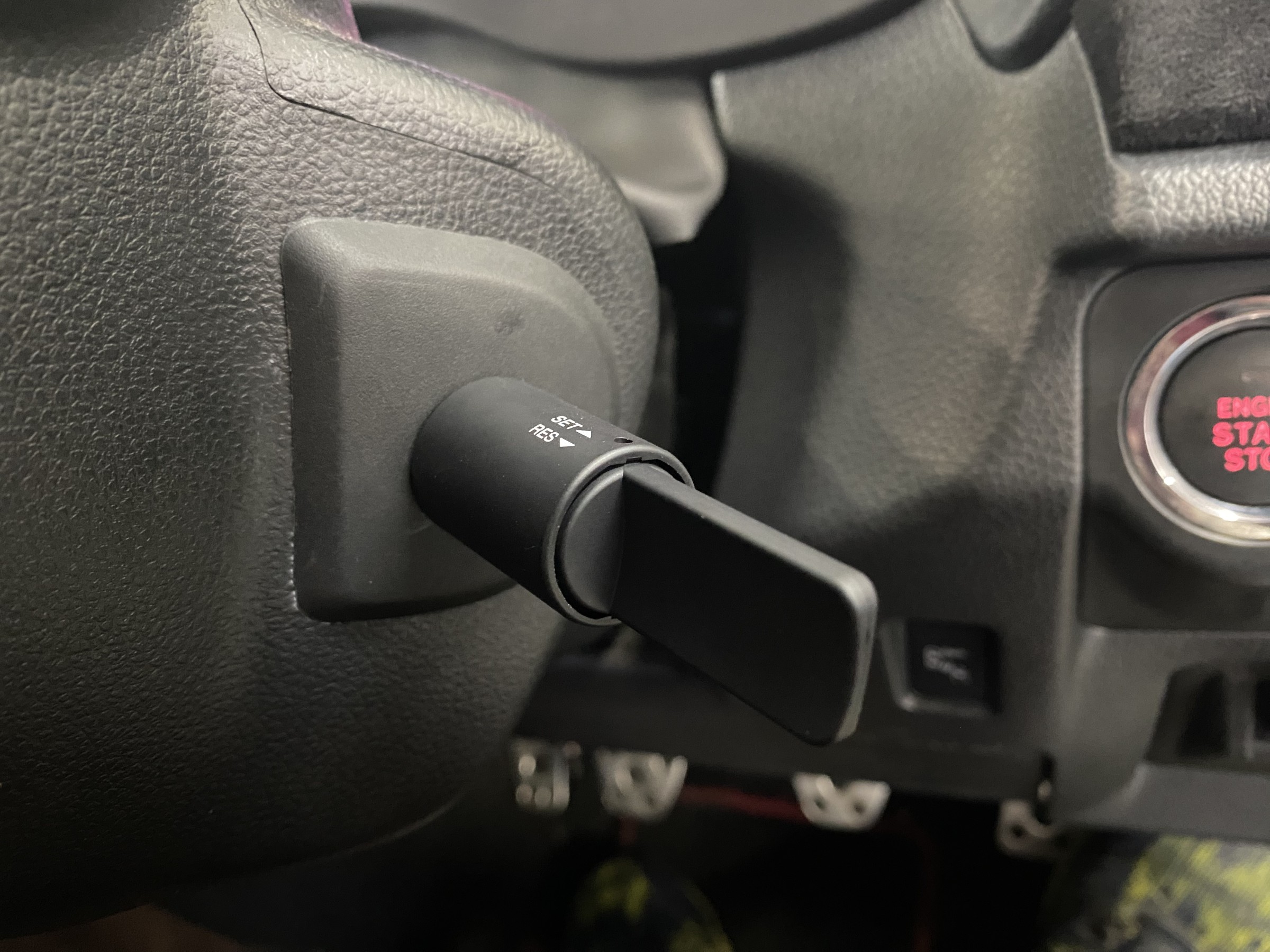 スタッフが撮影した画像