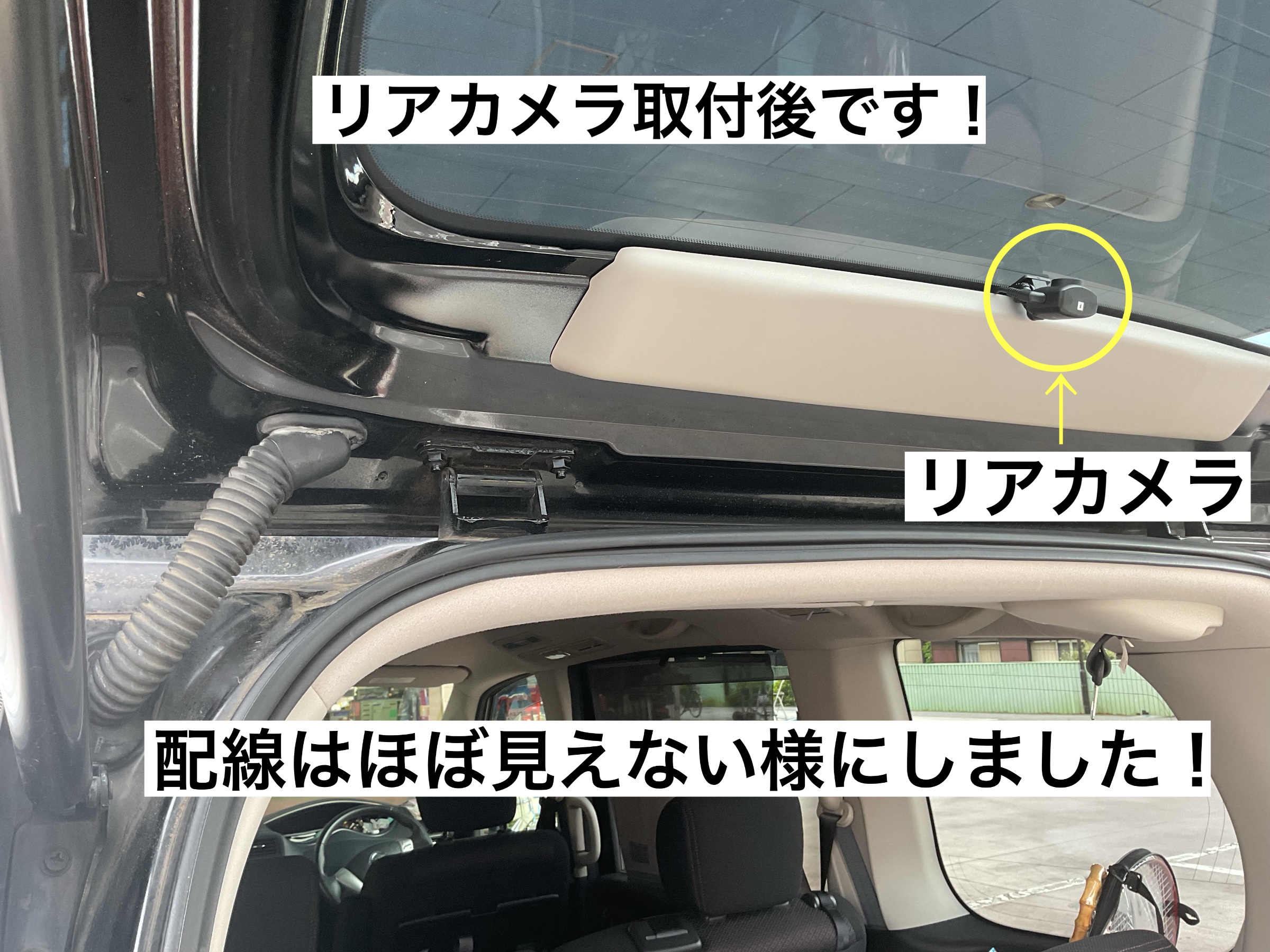 スタッフが撮影