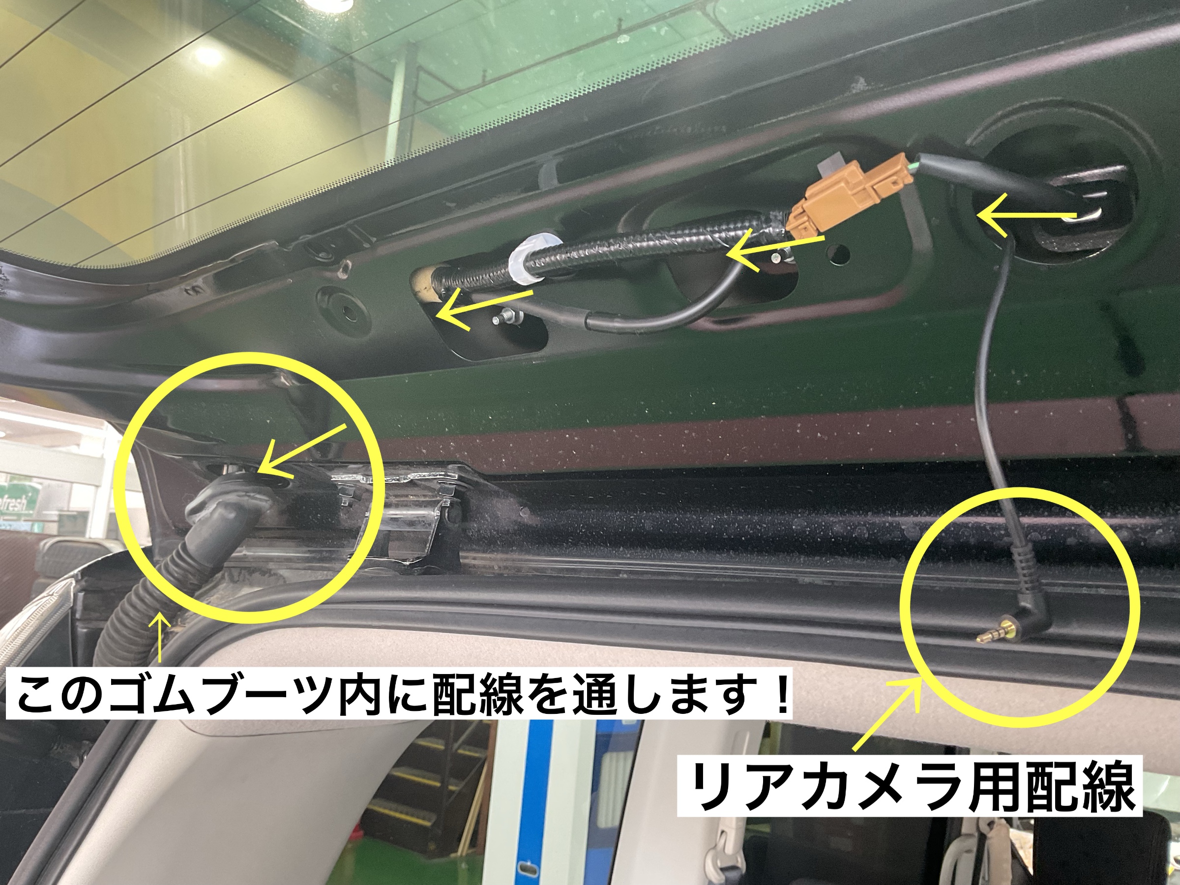 スタッフが撮影