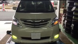 動画
