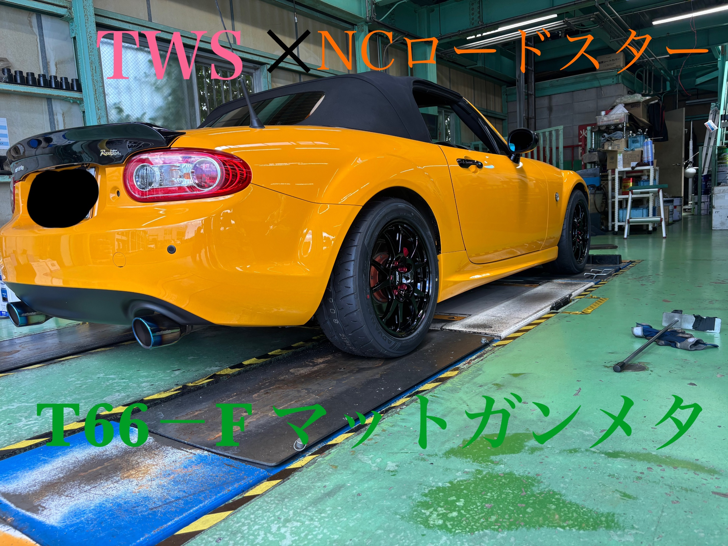 スタッフ撮影画像になります。