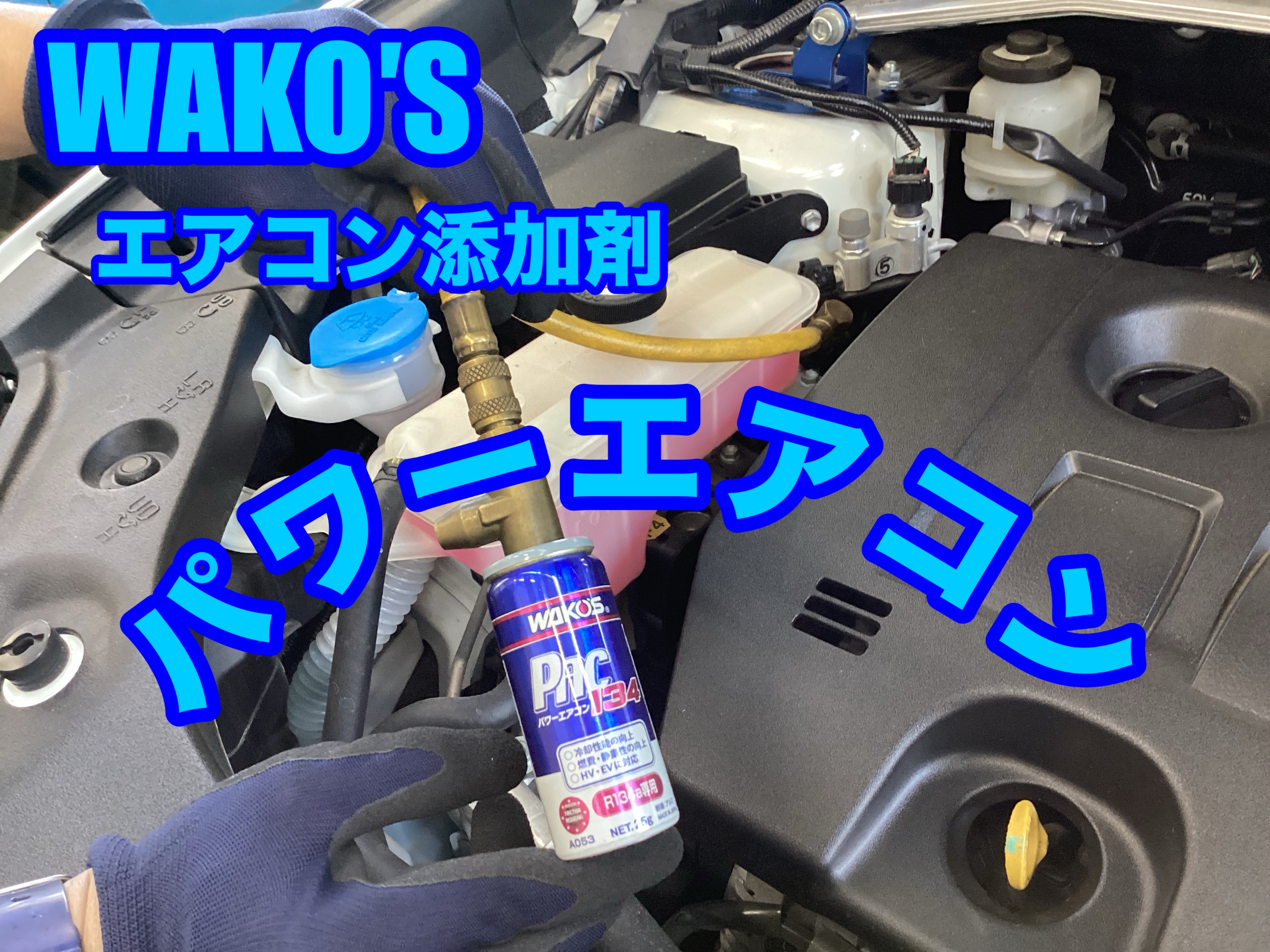 スタッフ撮影