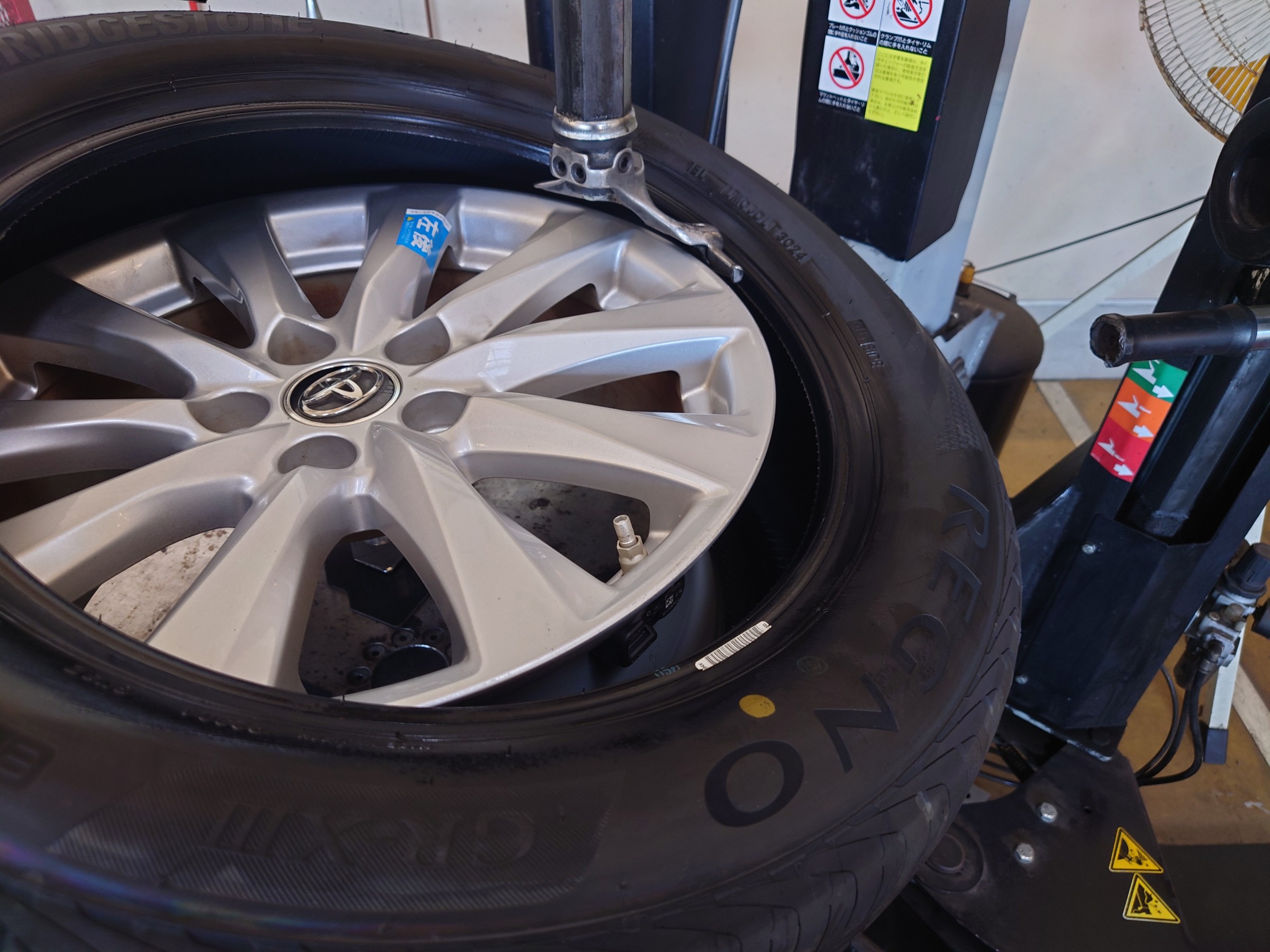 スタッフ撮影写真